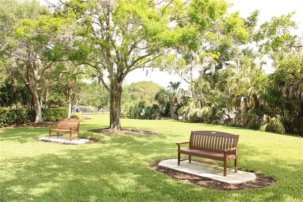 a view of a garden