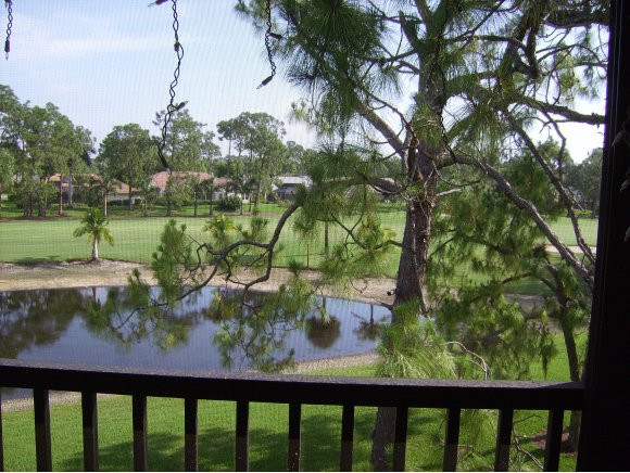415 Augusta Boulevard, Unit 310 Naples, FL 34113 - Photo 12 of 15 a view of a lake from a balcony