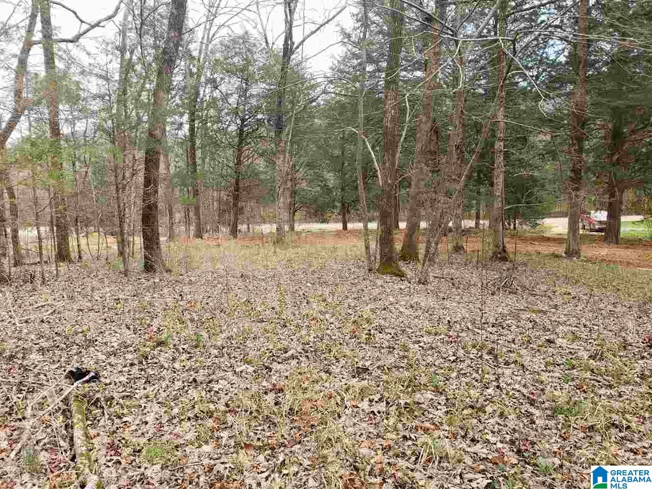 0 Remlap Drive, Unit 1 Remlap, AL 35133 - Photo 3 of 11