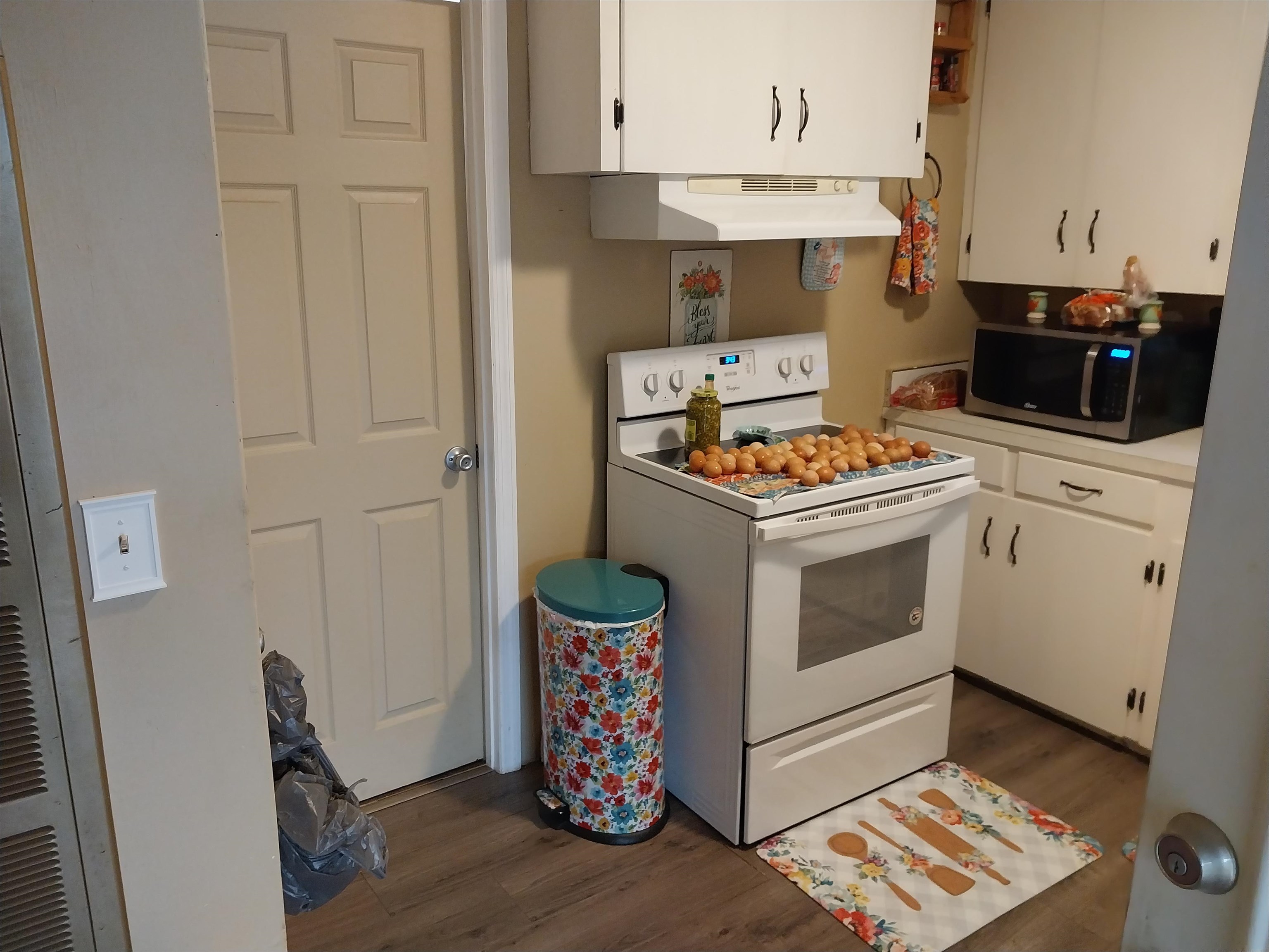 142 Iron Bridge Road Havana, FL 32333 - Photo 18 of 30 Gallery Image 18