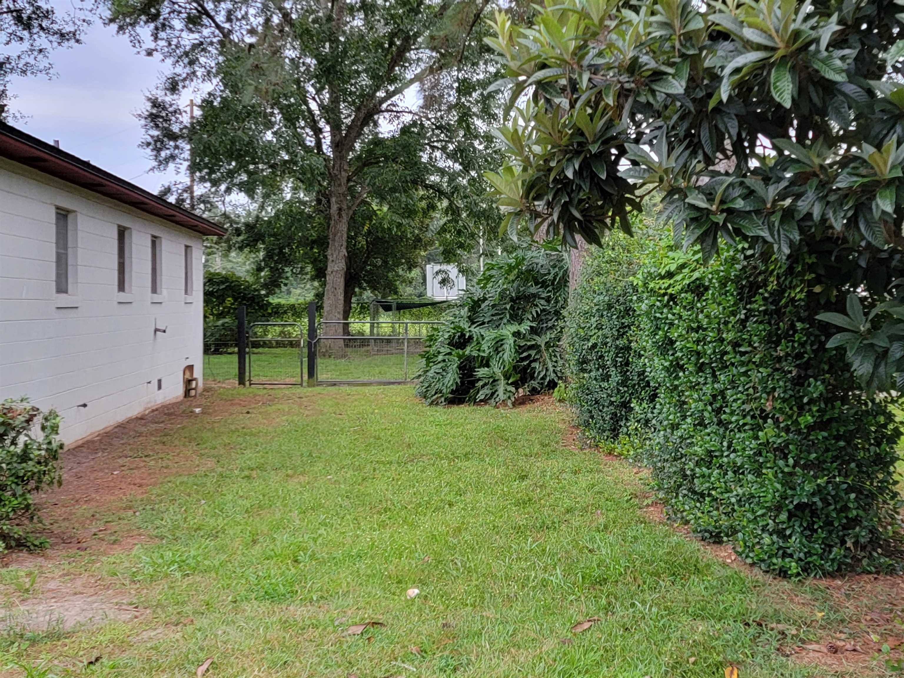 142 Iron Bridge Road Havana, FL 32333 - Photo 26 of 30 Gallery Image 26