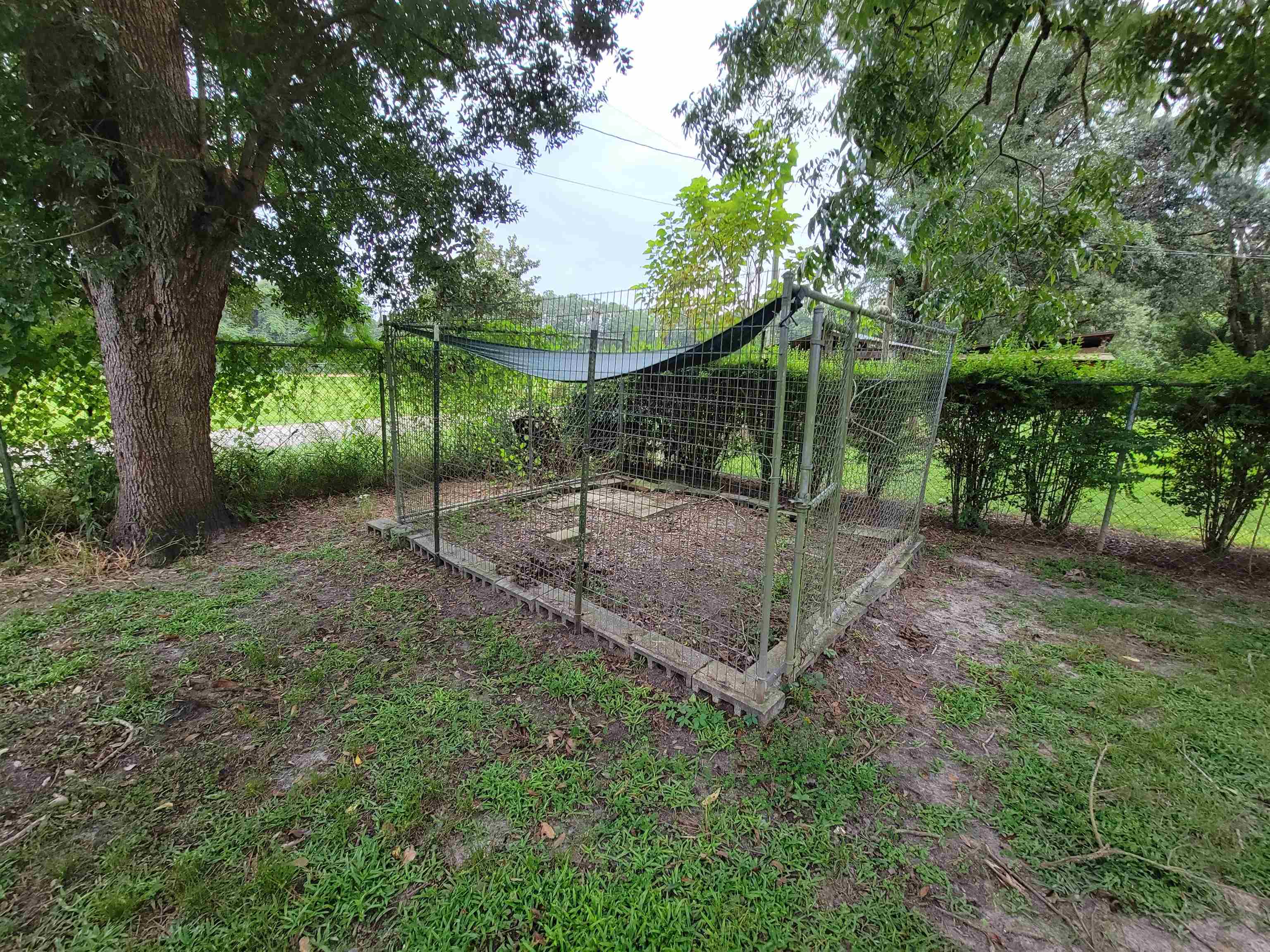 142 Iron Bridge Road Havana, FL 32333 - Photo 5 of 30 Gallery Image 5