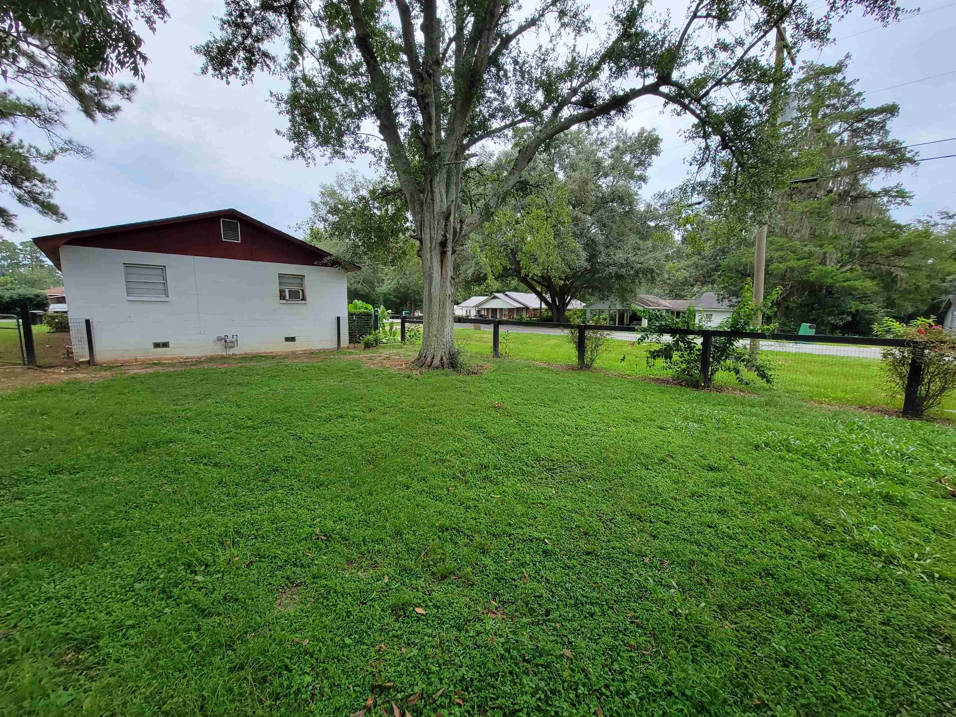 142 Iron Bridge Road Havana, FL 32333 - Photo 7 of 30 Gallery Image 7