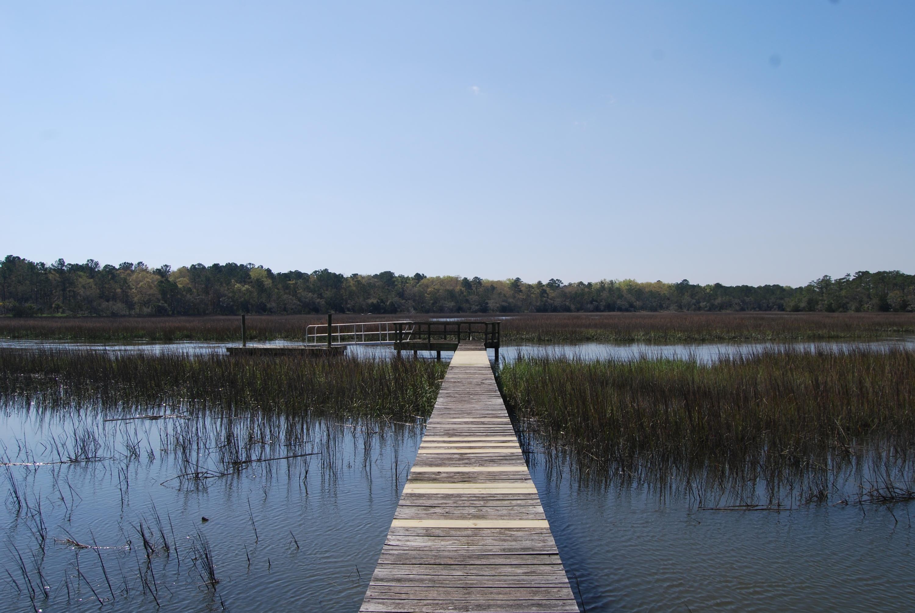 0 Park Island Road Meggett, SC 29449 - Photo 1 of 9 DSC_0019