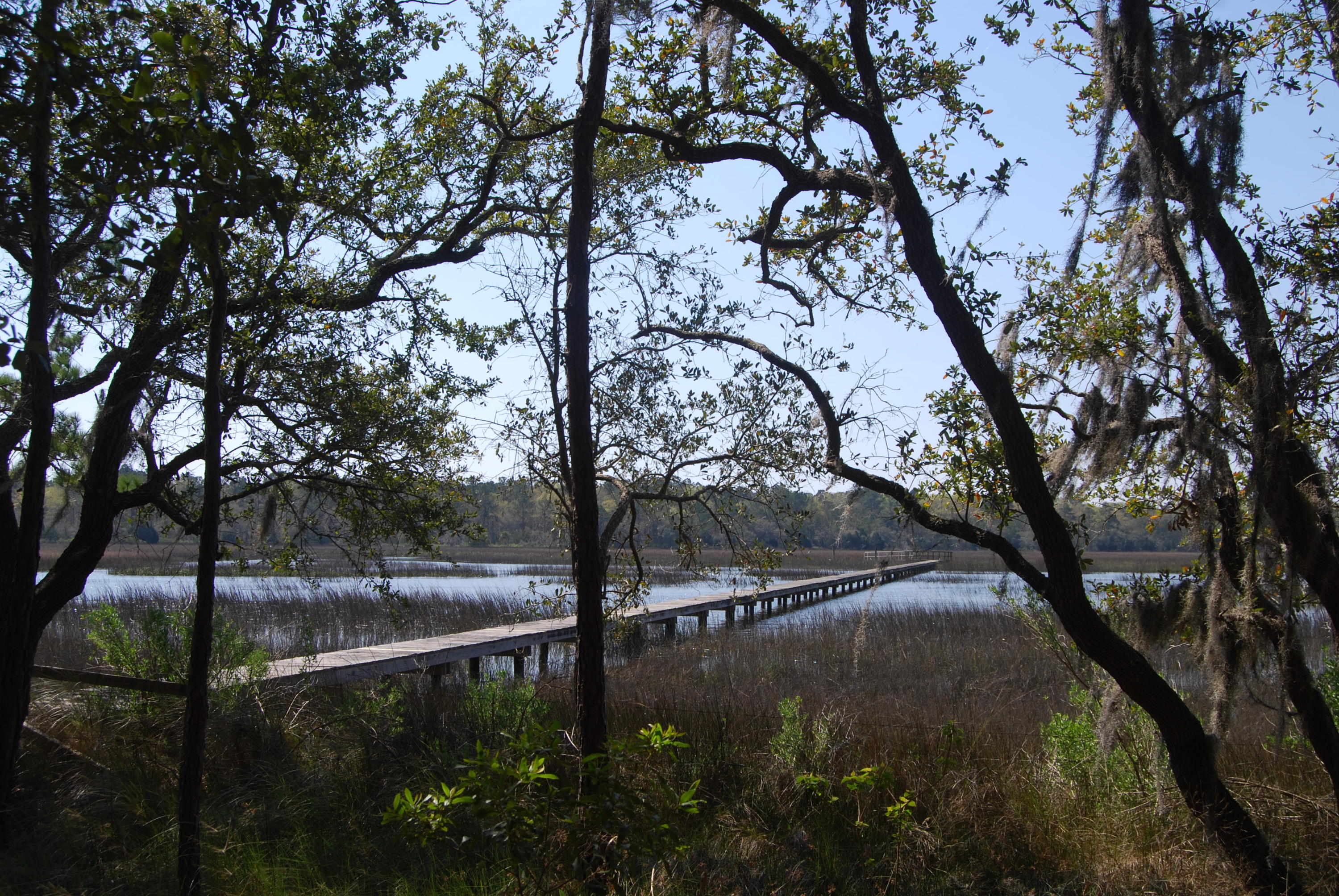 0 Park Island Road Meggett, SC 29449 - Photo 2 of 9 DSC_0013