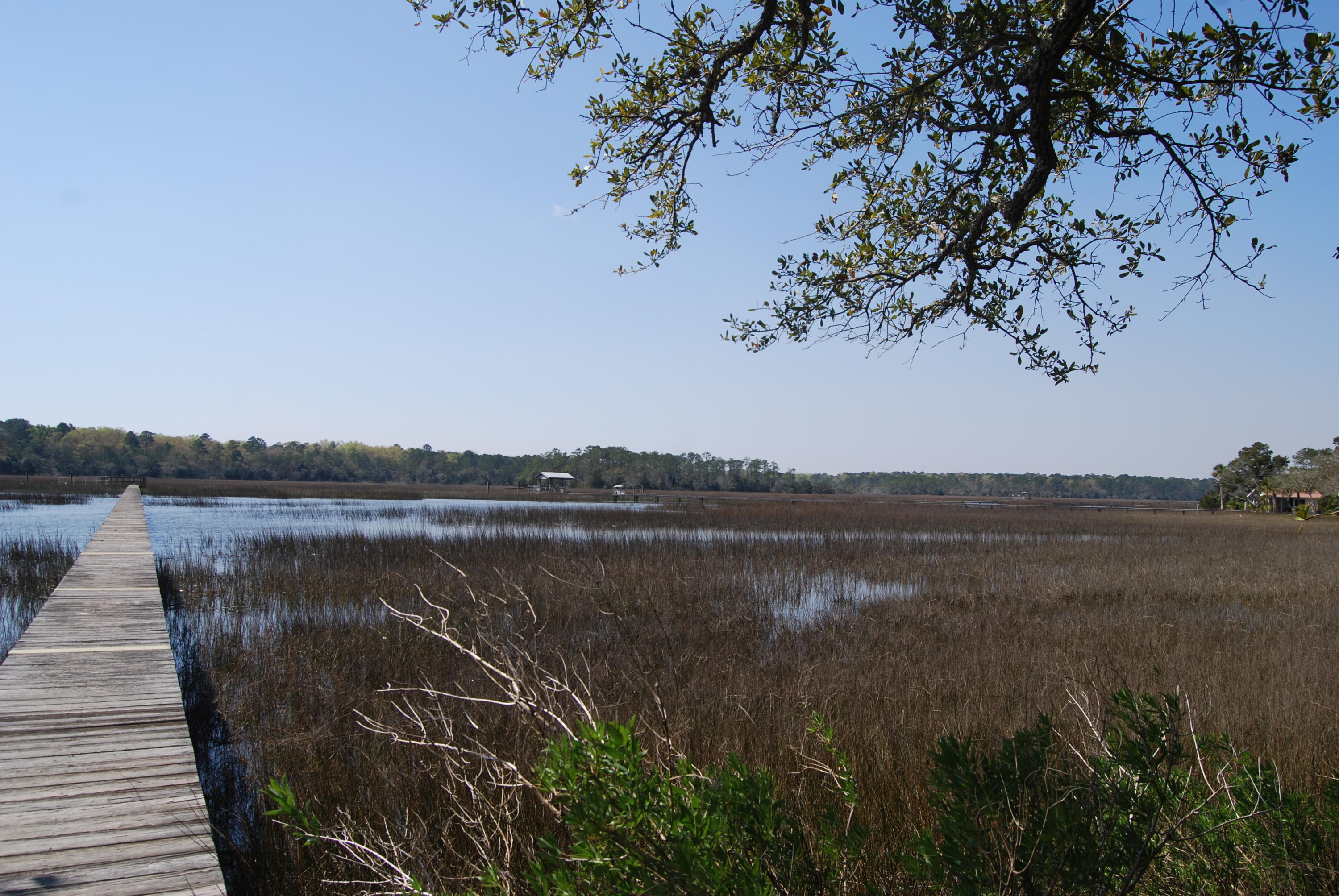 0 Park Island Road Meggett, SC 29449 - Photo 4 of 9 DSC_0017
