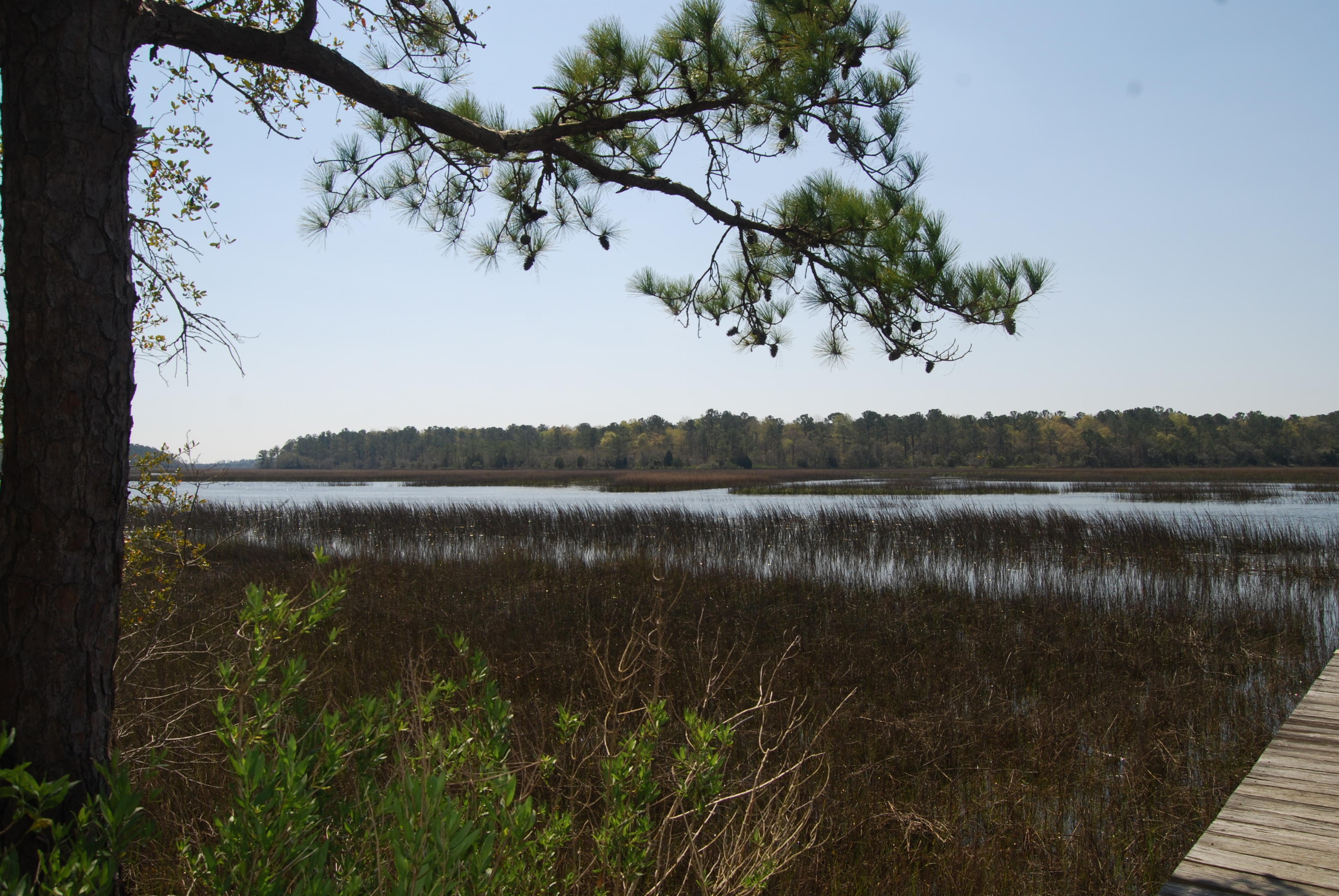 0 Park Island Road Meggett, SC 29449 - Photo 5 of 9 DSC_0018