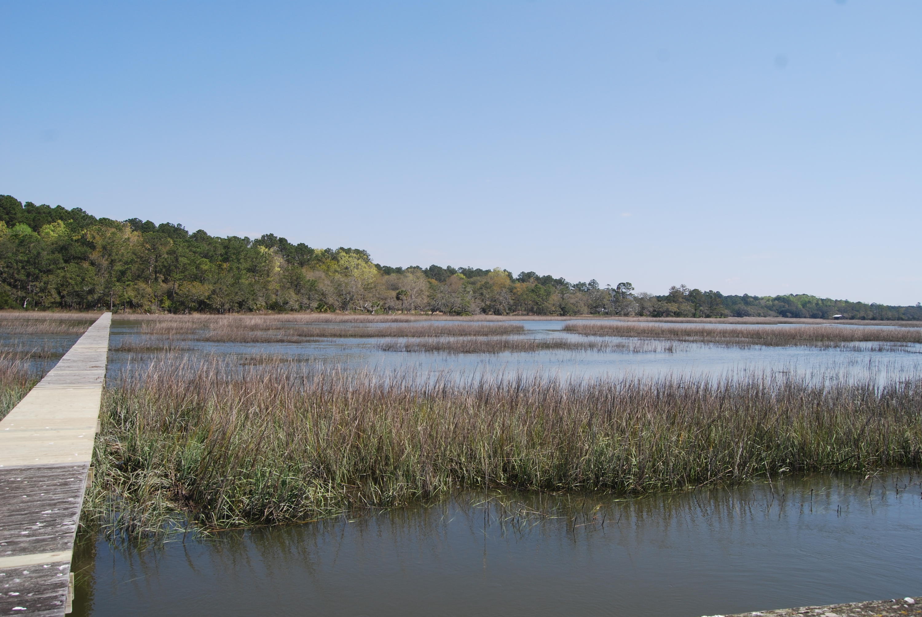 0 Park Island Road Meggett, SC 29449 - Photo 6 of 9 DSC_0023