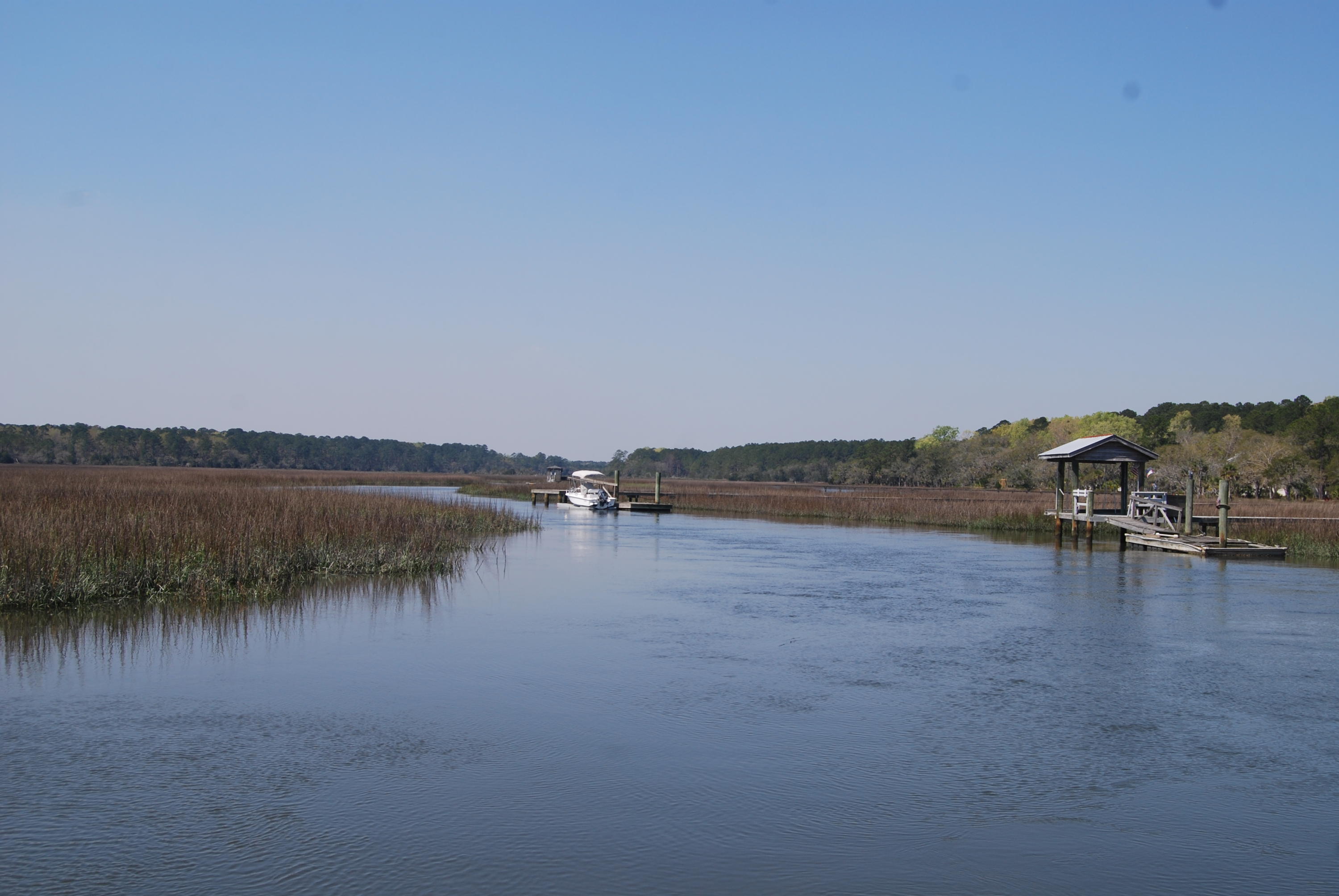 0 Park Island Road Meggett, SC 29449 - Photo 7 of 9 DSC_0025