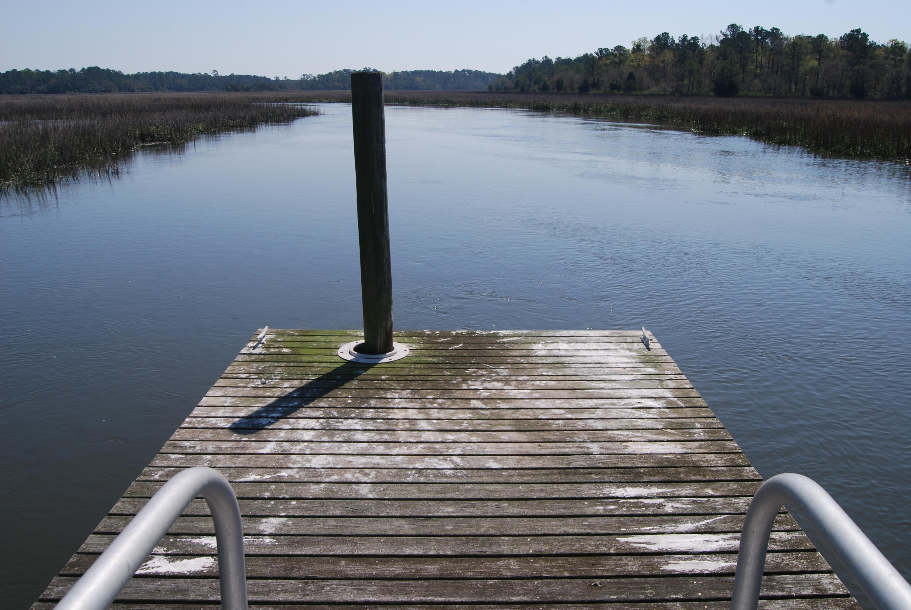 0 Park Island Road Meggett, SC 29449 - Photo 8 of 9 DSC_0024