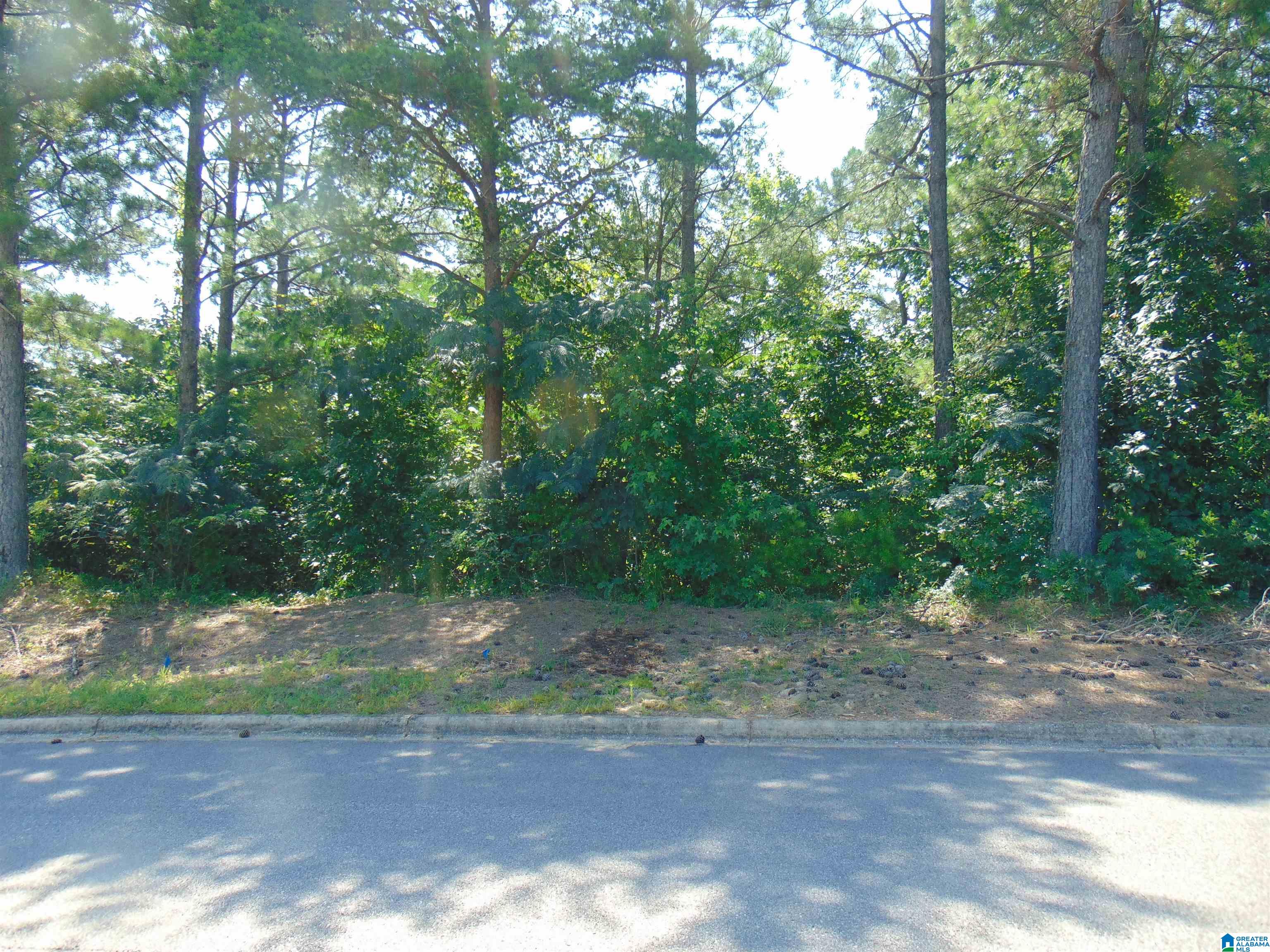 162 Jewell Circle, Unit 2 Bessemer, AL 35022 - Photo 4 of 5