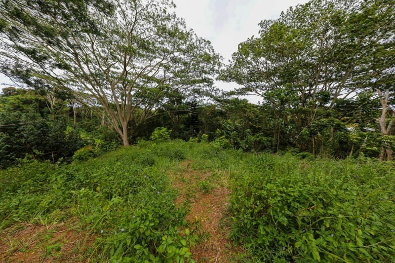 37 Omao Road Koloa, HI 96756 - Photo 23 of 29