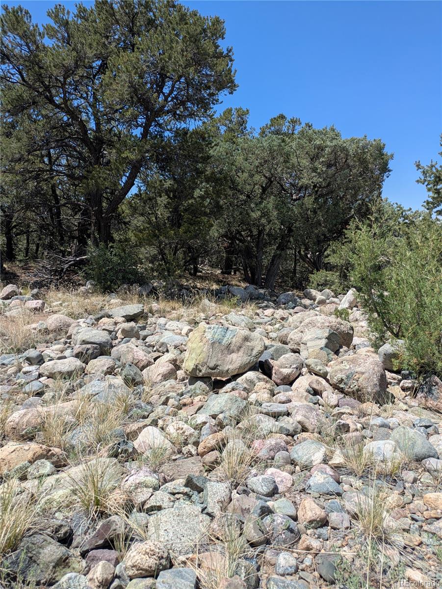 3729 Enchanted Way Crestone, CO 81131 - Photo 6 of 13 a view of a yard with a tree