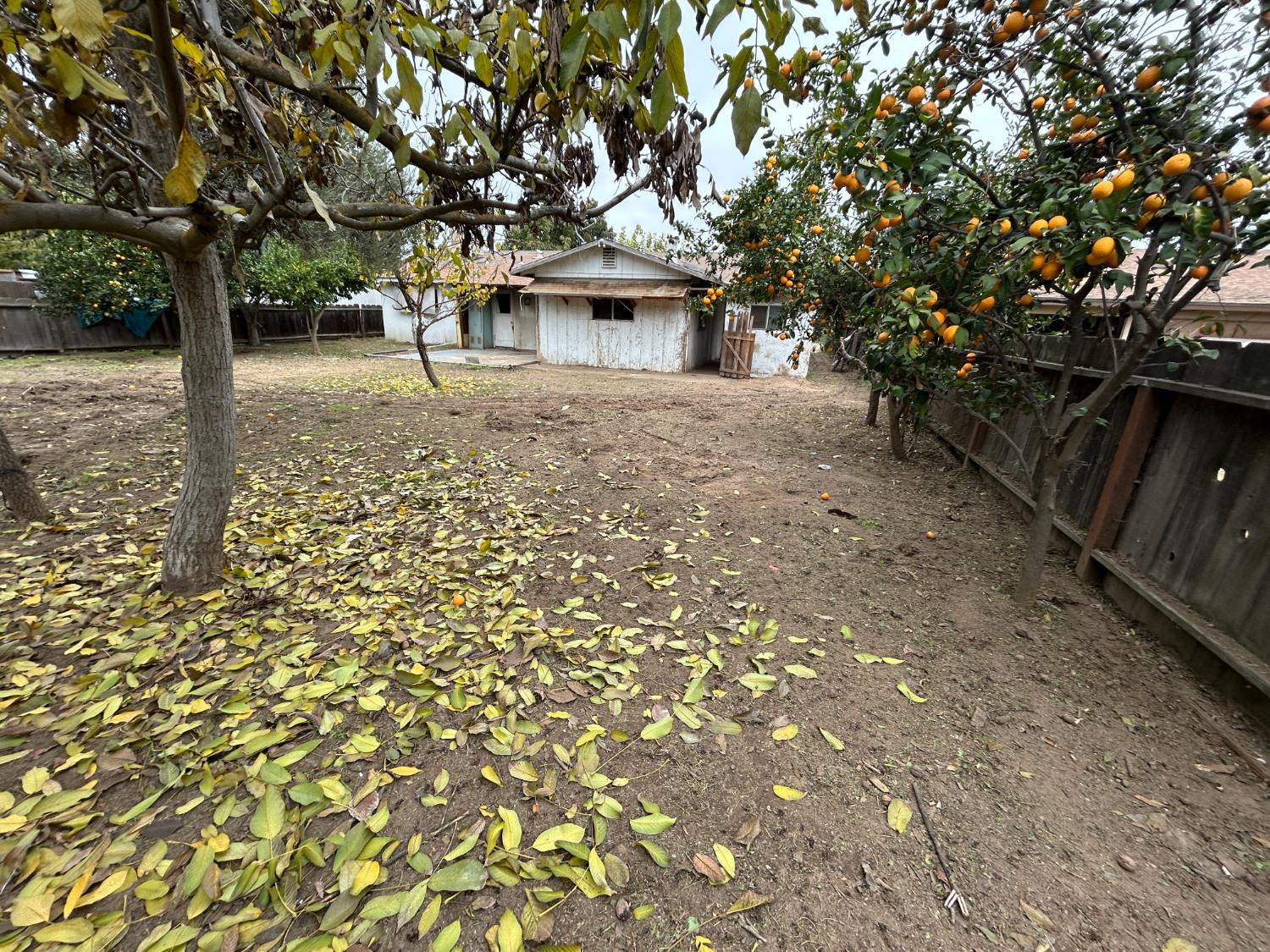755 H Street Parlier, CA 93648 - Photo 20 of 22 a view of a yard with plants and trees