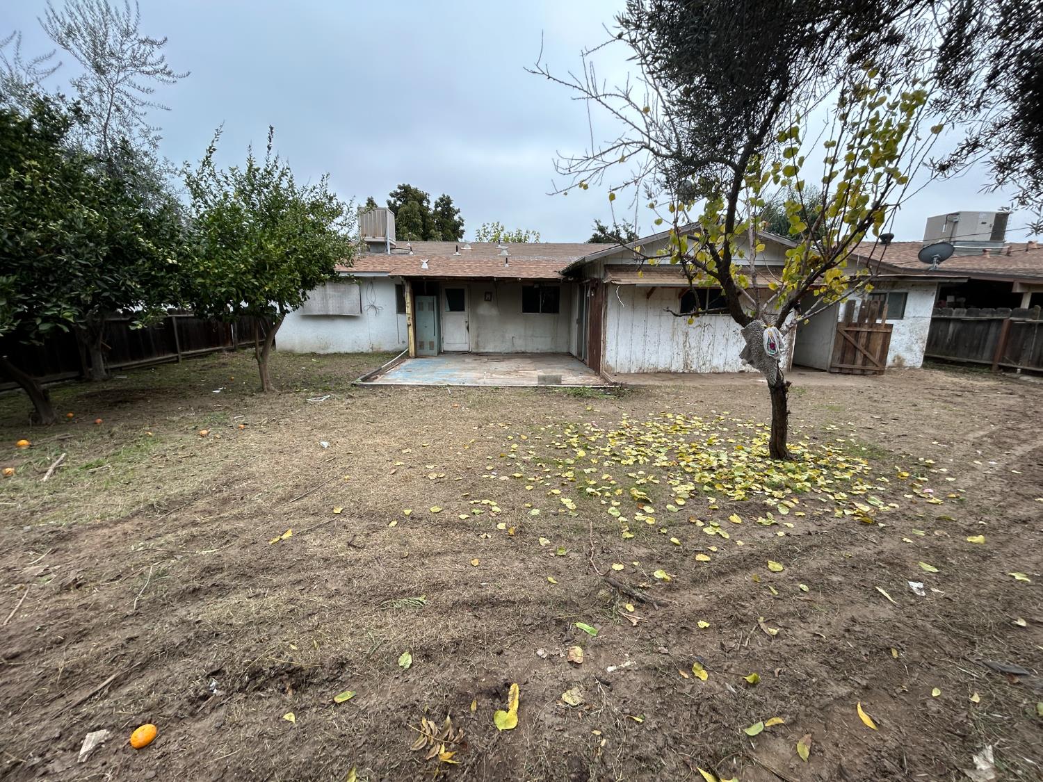 755 H Street Parlier, CA 93648 - Photo 22 of 22 a view of a house with a tree