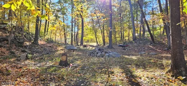a view of a lake with a mountain in the background