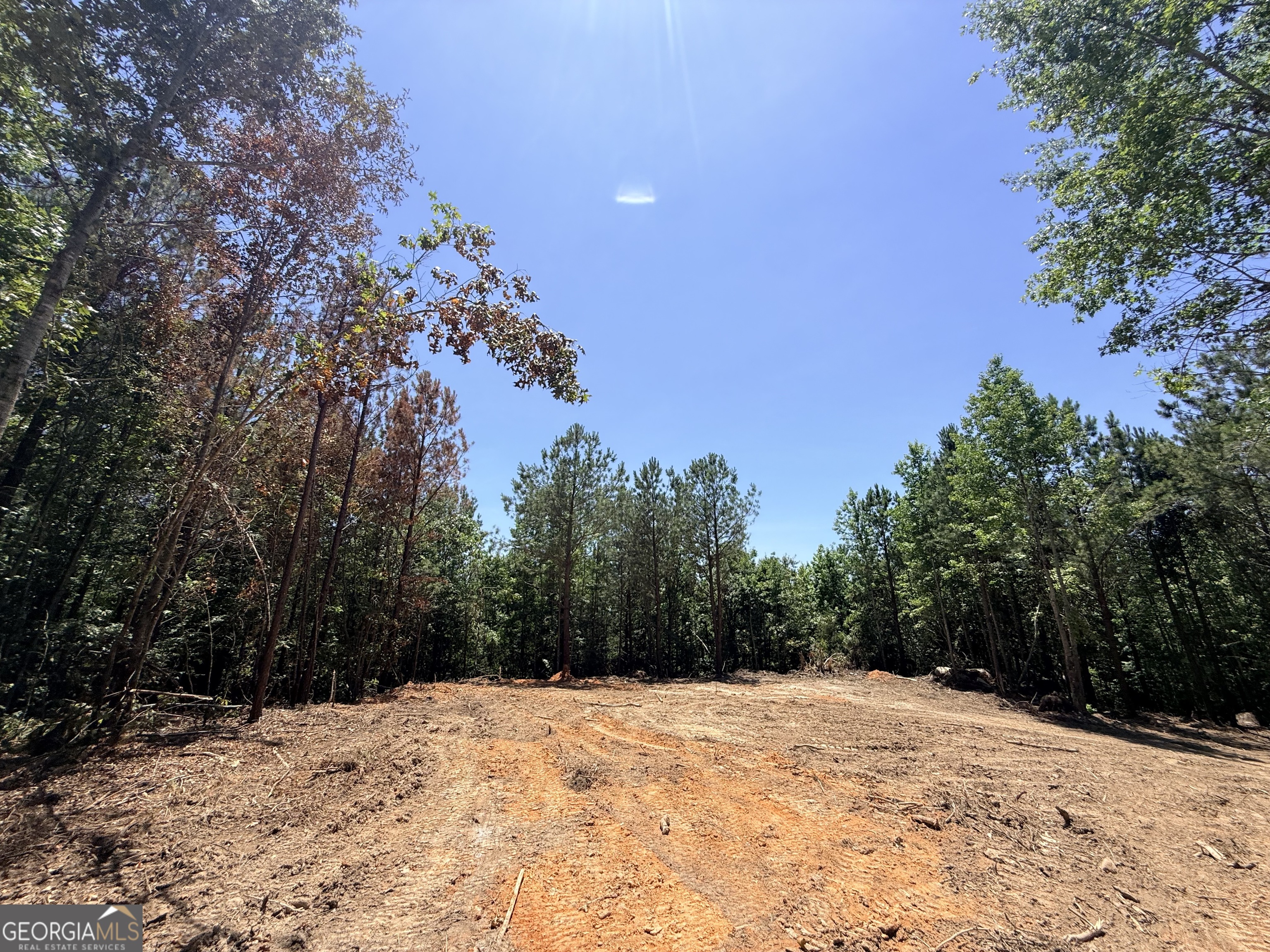 2807 Cedar Creek Road Elberton, GA 30635 - Photo 36 of 109
