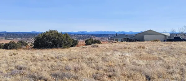 a view of a yard