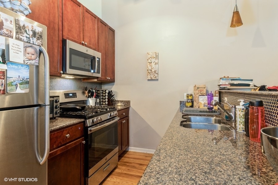 1070 West 15th Street, Unit 102 Chicago, IL 60608 - Photo 14 of 20 a kitchen with a stove and a microwave
