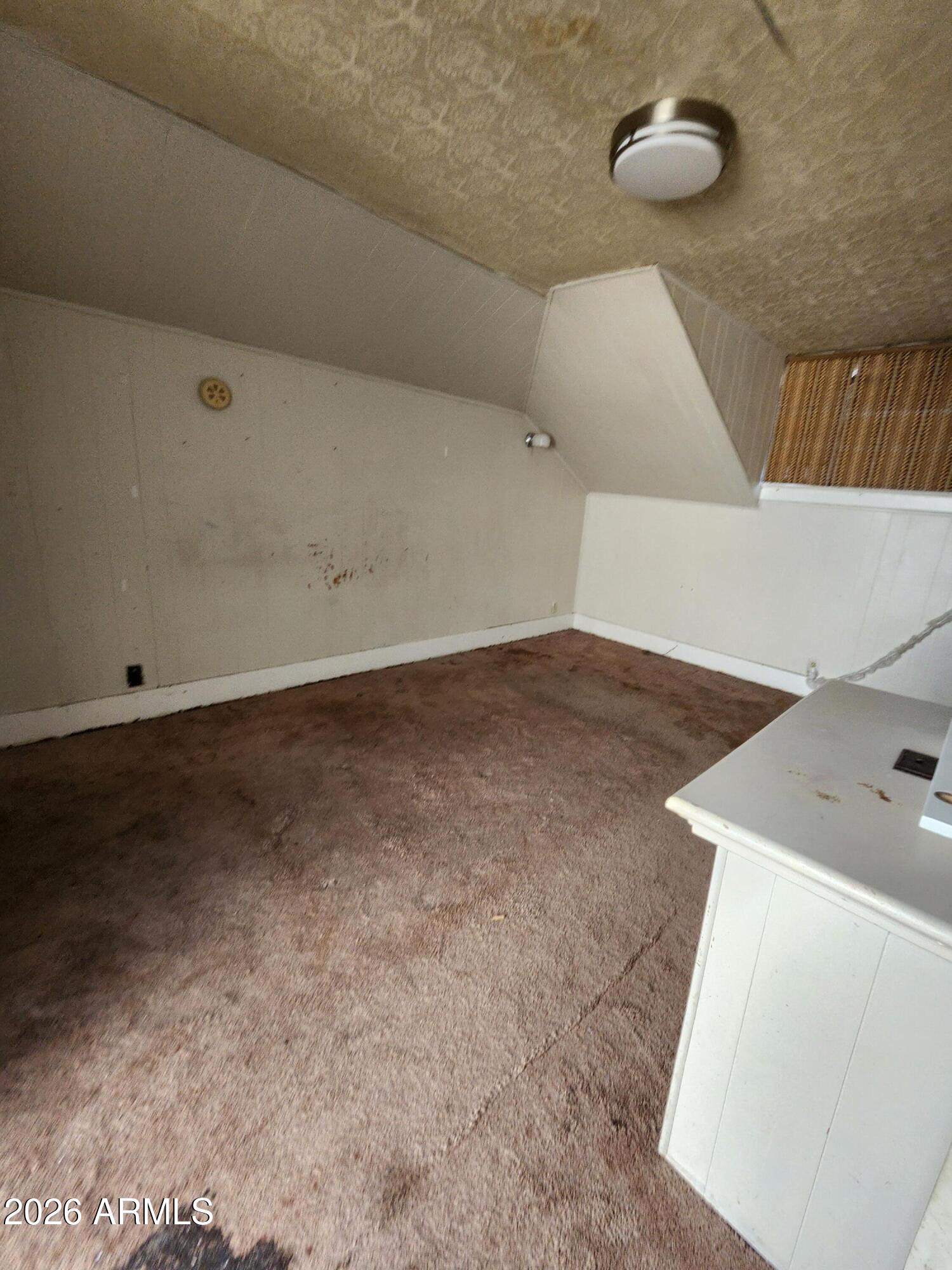 1228 East 9th Street Douglas, AZ 85607 - Photo 32 of 48 20260116_101311