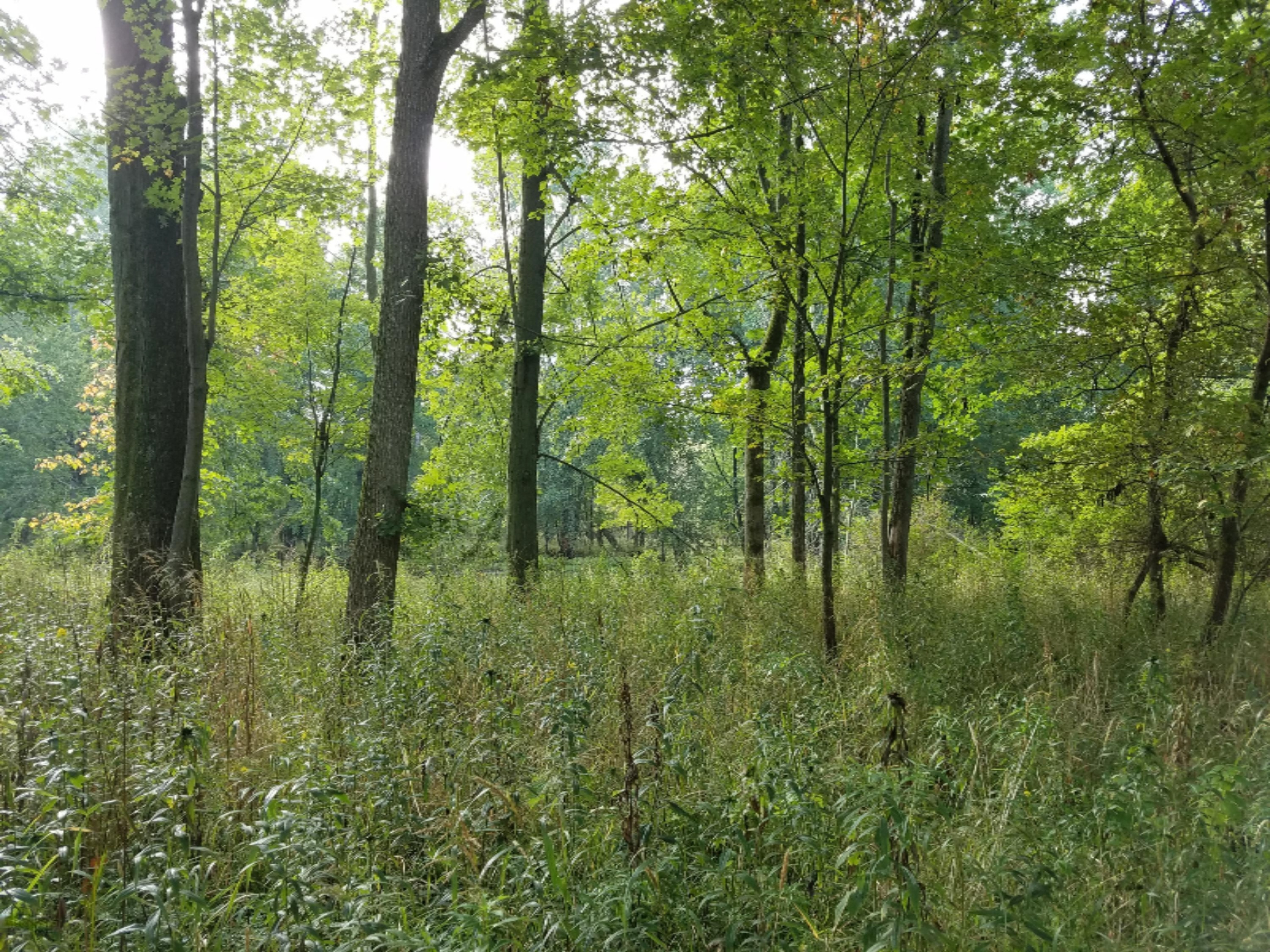 14 Rivers Edge Lane Middleville, MI 49333 - Photo 5 of 12 20160922_095014