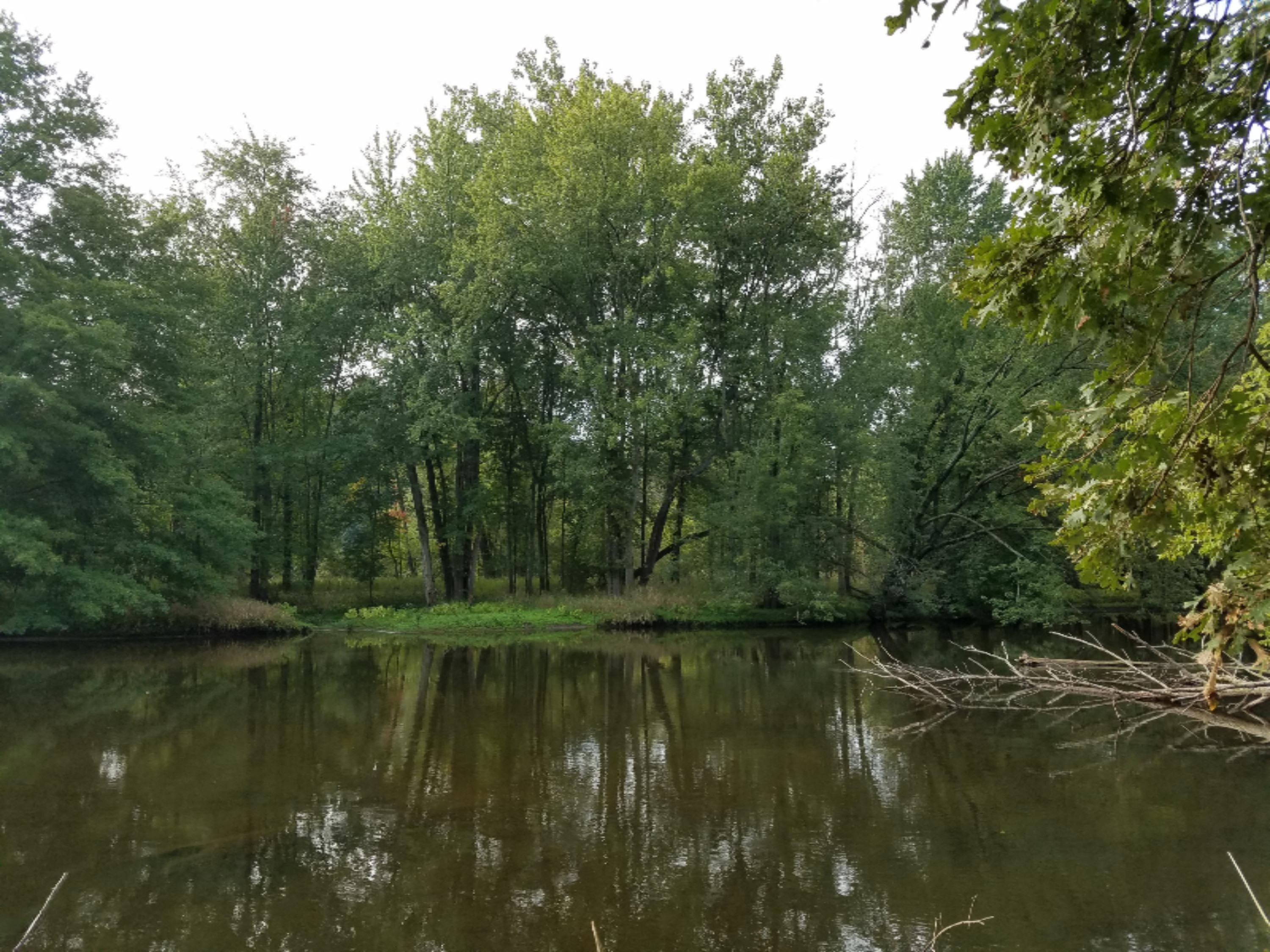 14 Rivers Edge Lane Middleville, MI 49333 - Photo 6 of 12 20160922_095214