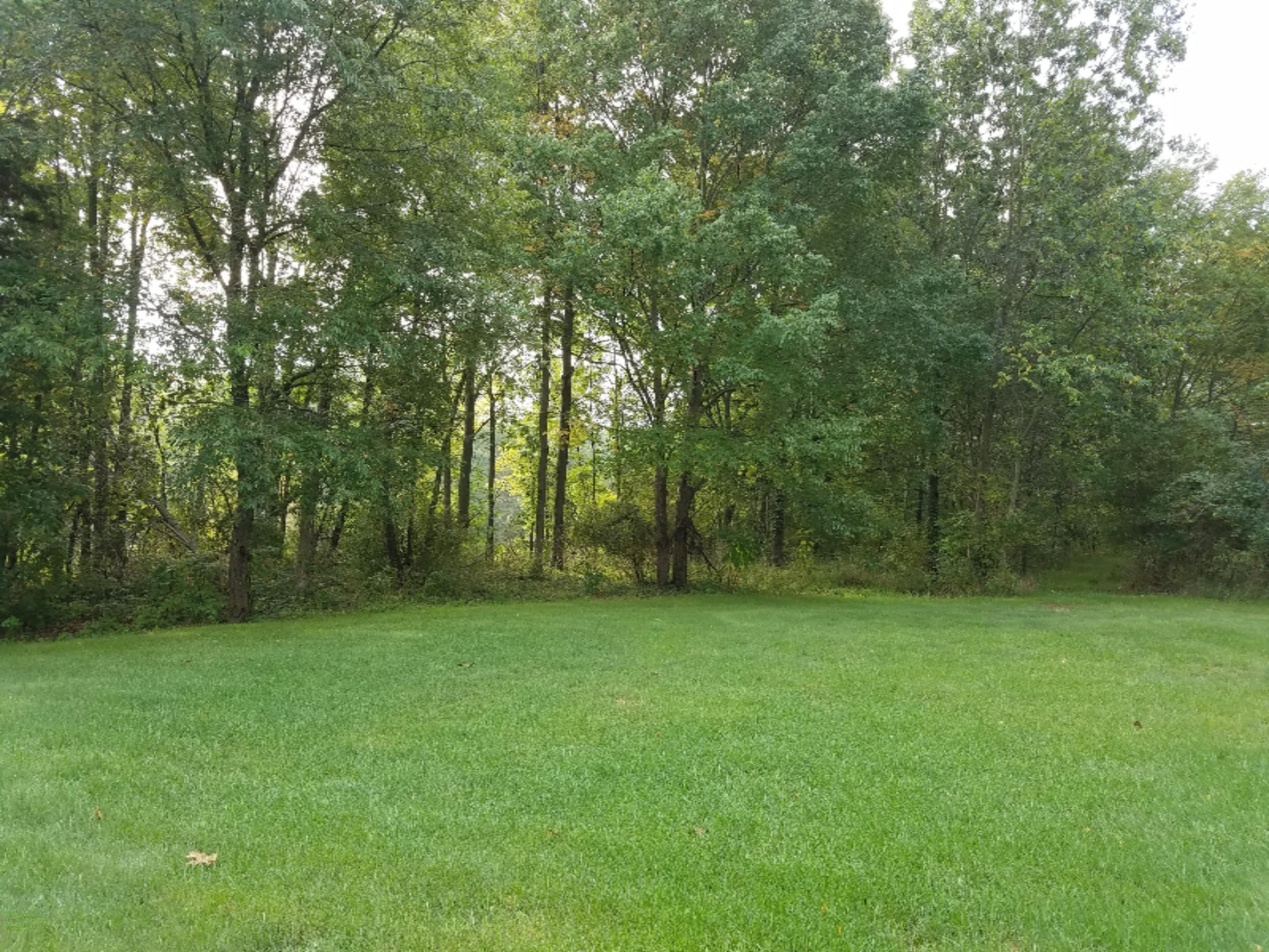 14 Rivers Edge Lane Middleville, MI 49333 - Photo 8 of 12 20160922_095515