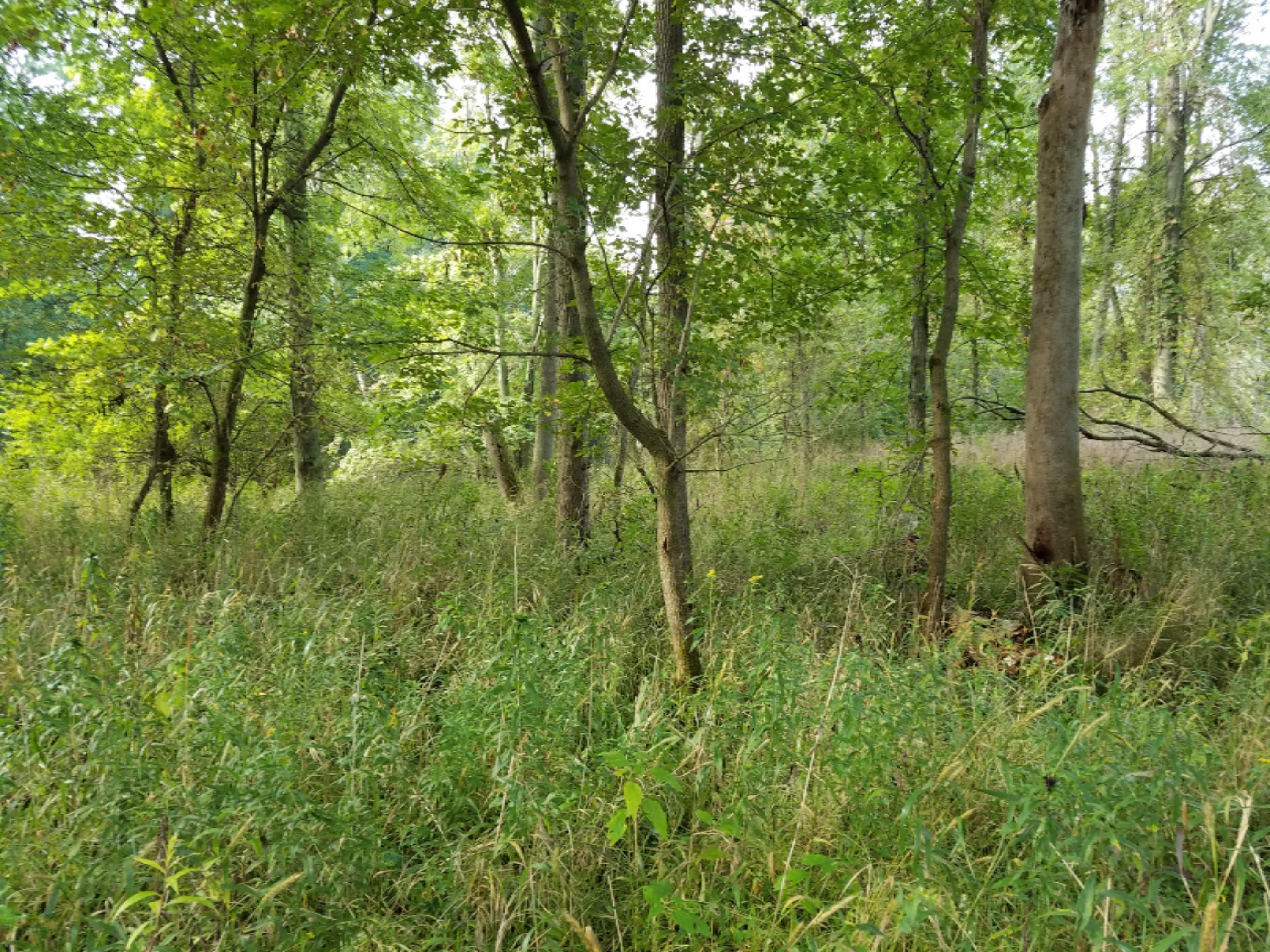 14 Rivers Edge Lane Middleville, MI 49333 - Photo 9 of 12 20160922_095009