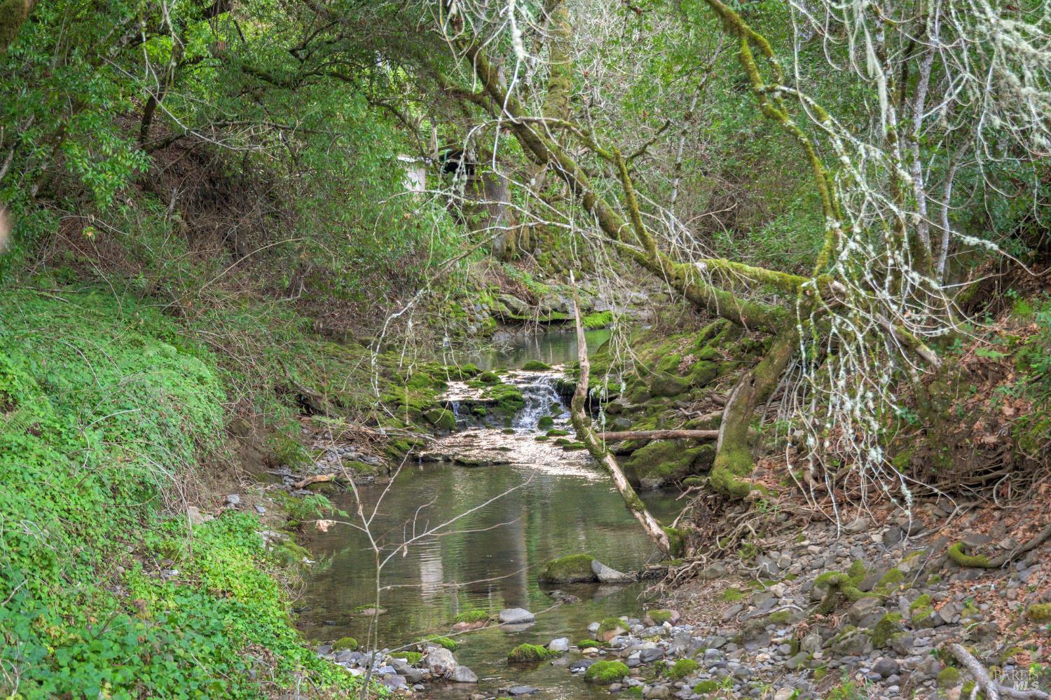 9200 Bennett Valley Road Glen Ellen, CA 95442 - Photo 27 of 38