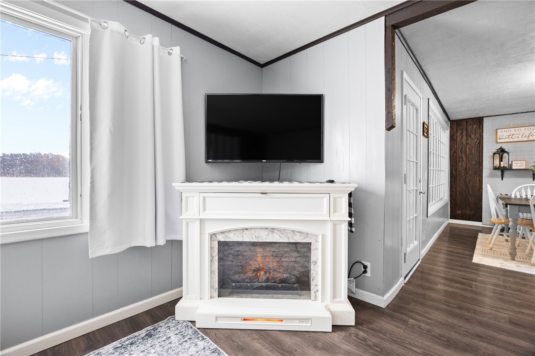 8657 Travell Road Lyons, NY 14489 - Photo 13 of 47 Electric Fireplace