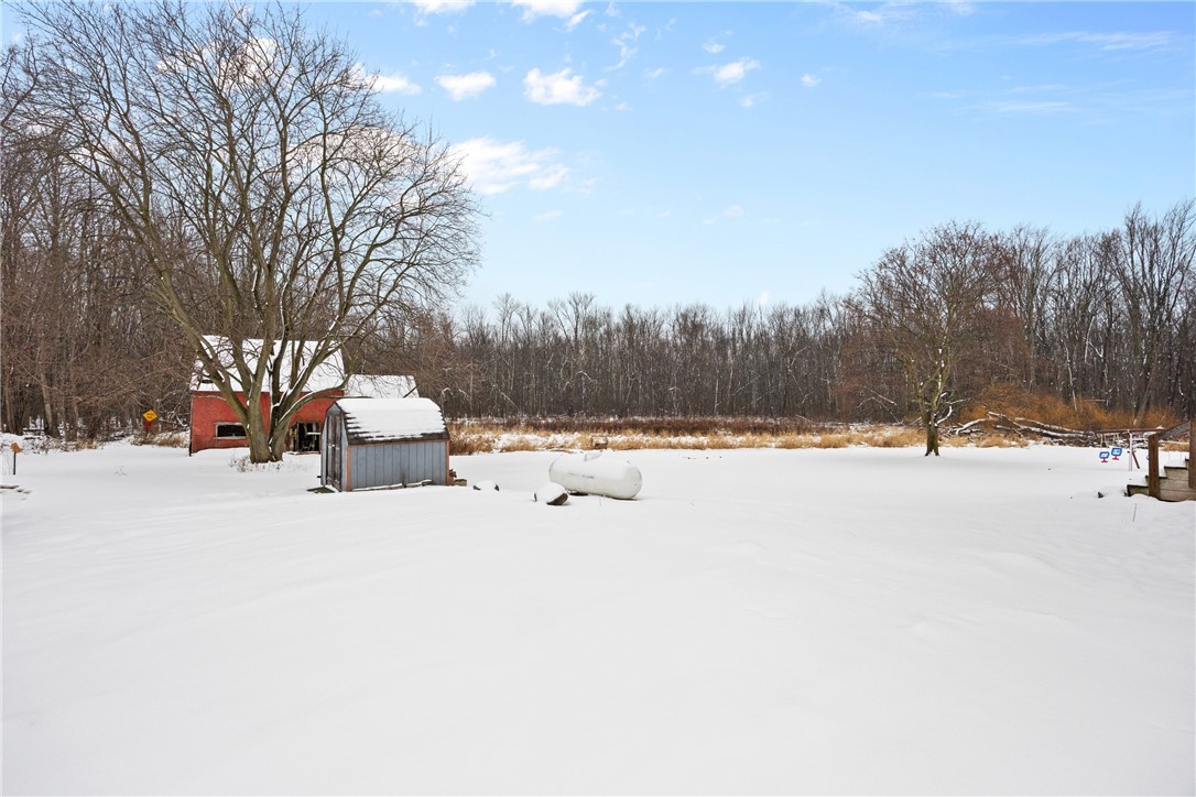 8657 Travell Road Lyons, NY 14489 - Photo 36 of 47