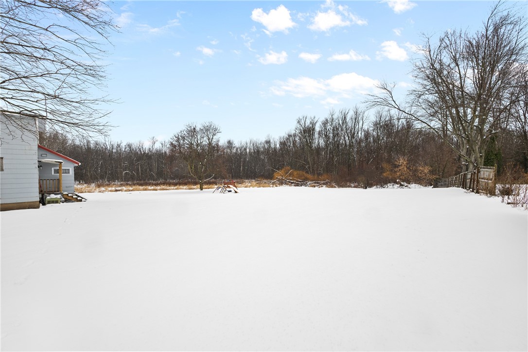 8657 Travell Road Lyons, NY 14489 - Photo 39 of 47