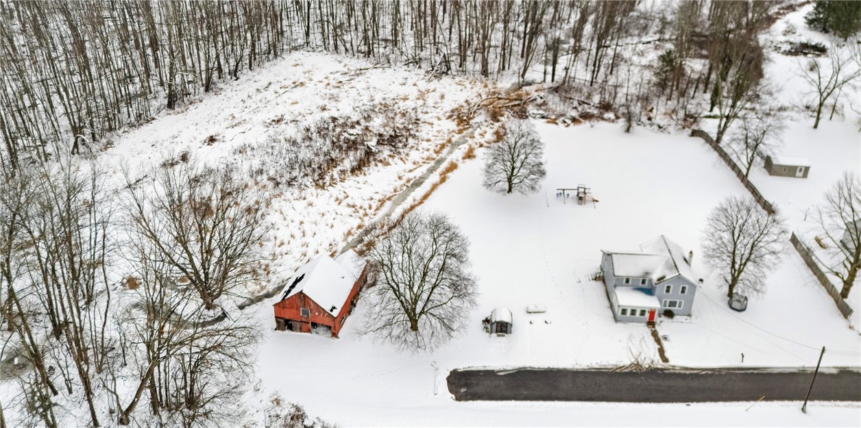 8657 Travell Road Lyons, NY 14489 - Photo 40 of 47