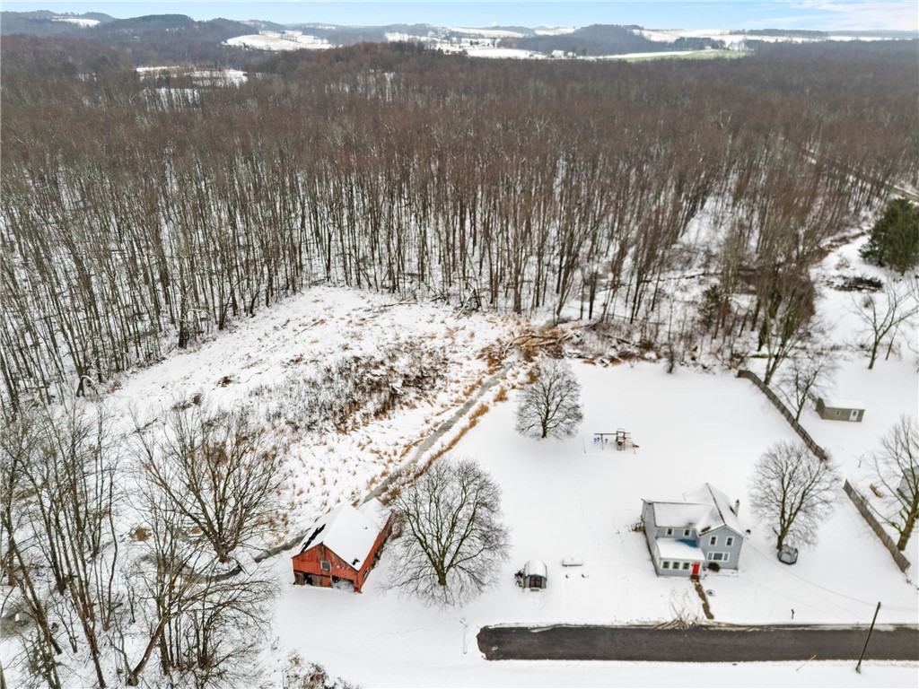 8657 Travell Road Lyons, NY 14489 - Photo 41 of 47