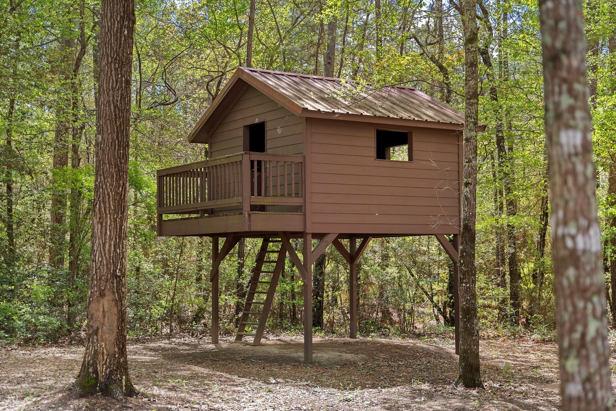 2 A Sundog Road Huntsville, TX 77340 - Photo 17 of 19