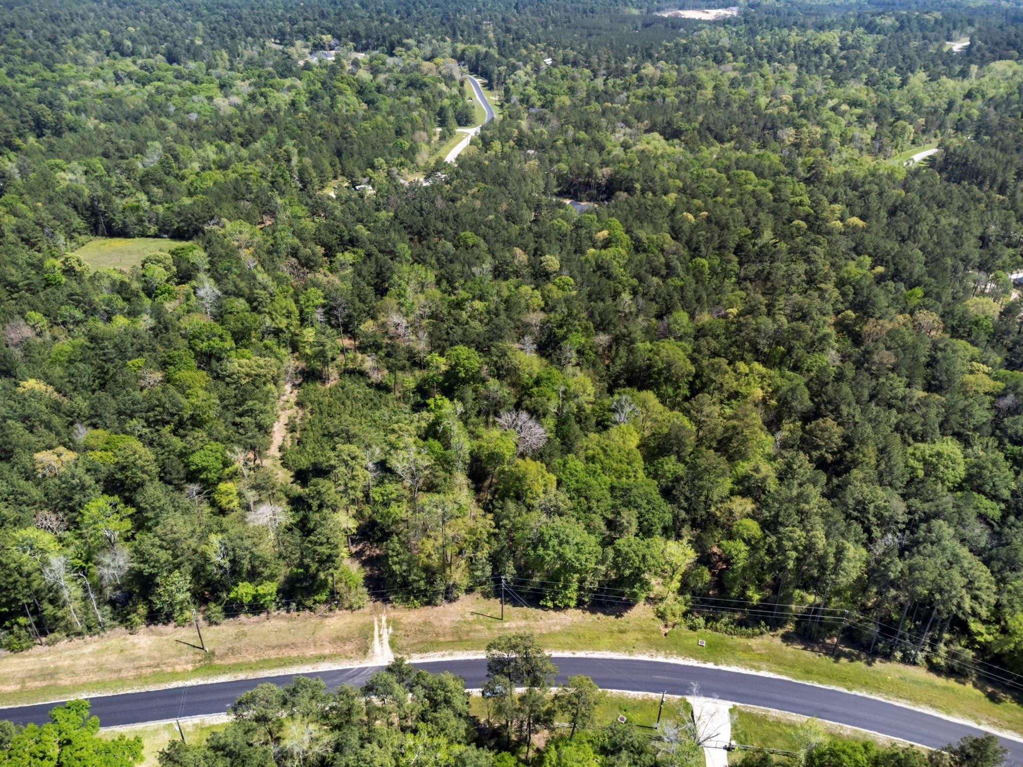 2 A Sundog Road Huntsville, TX 77340 - Photo 3 of 19