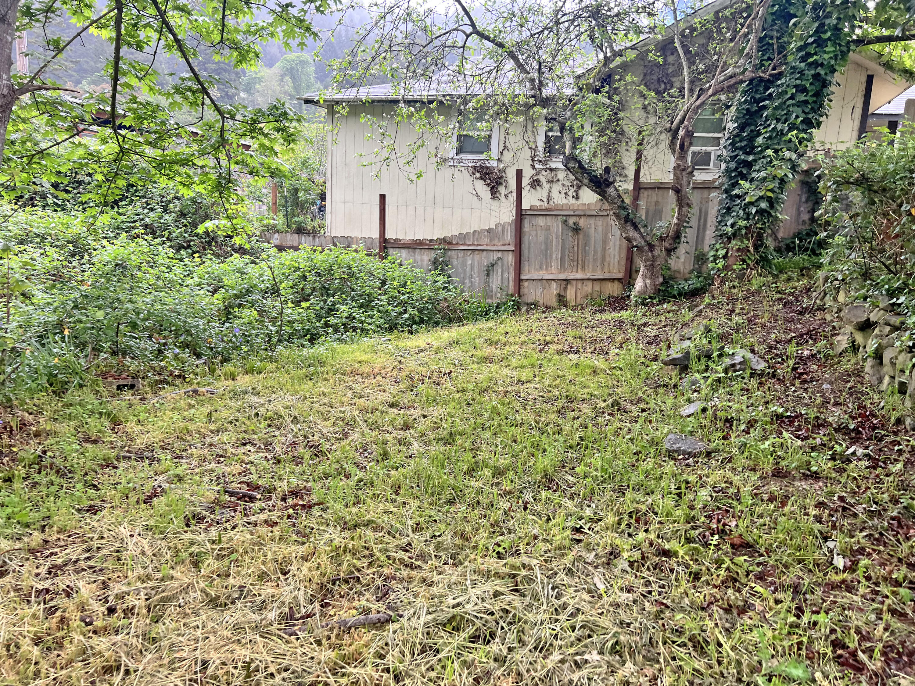 443 Newton Road Weott, CA 95571 - Photo 4 of 28 Gallery Image 4