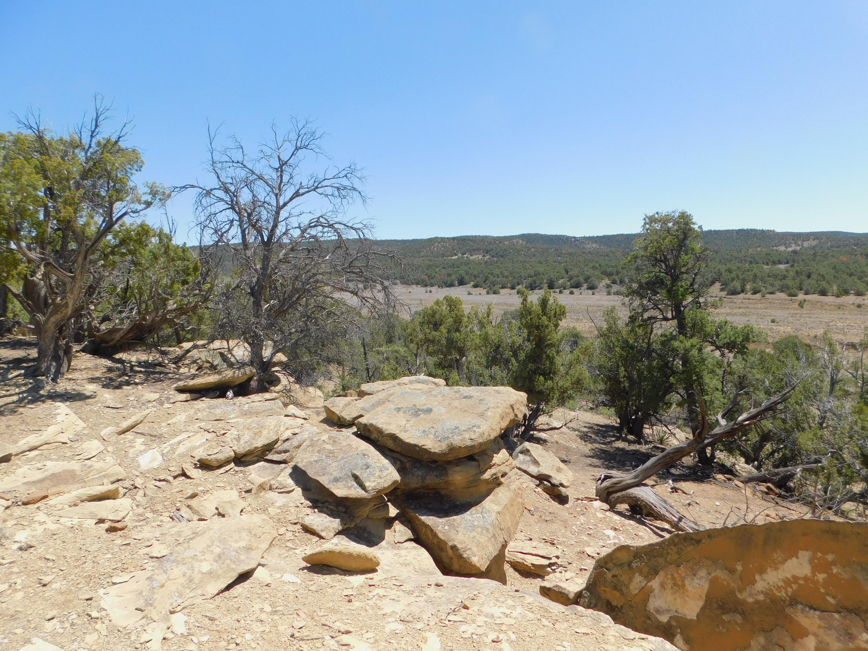 Lot 71 Alexis Road Pie Town, NM 87827 - Photo 1 of 1 Gallery Image 1