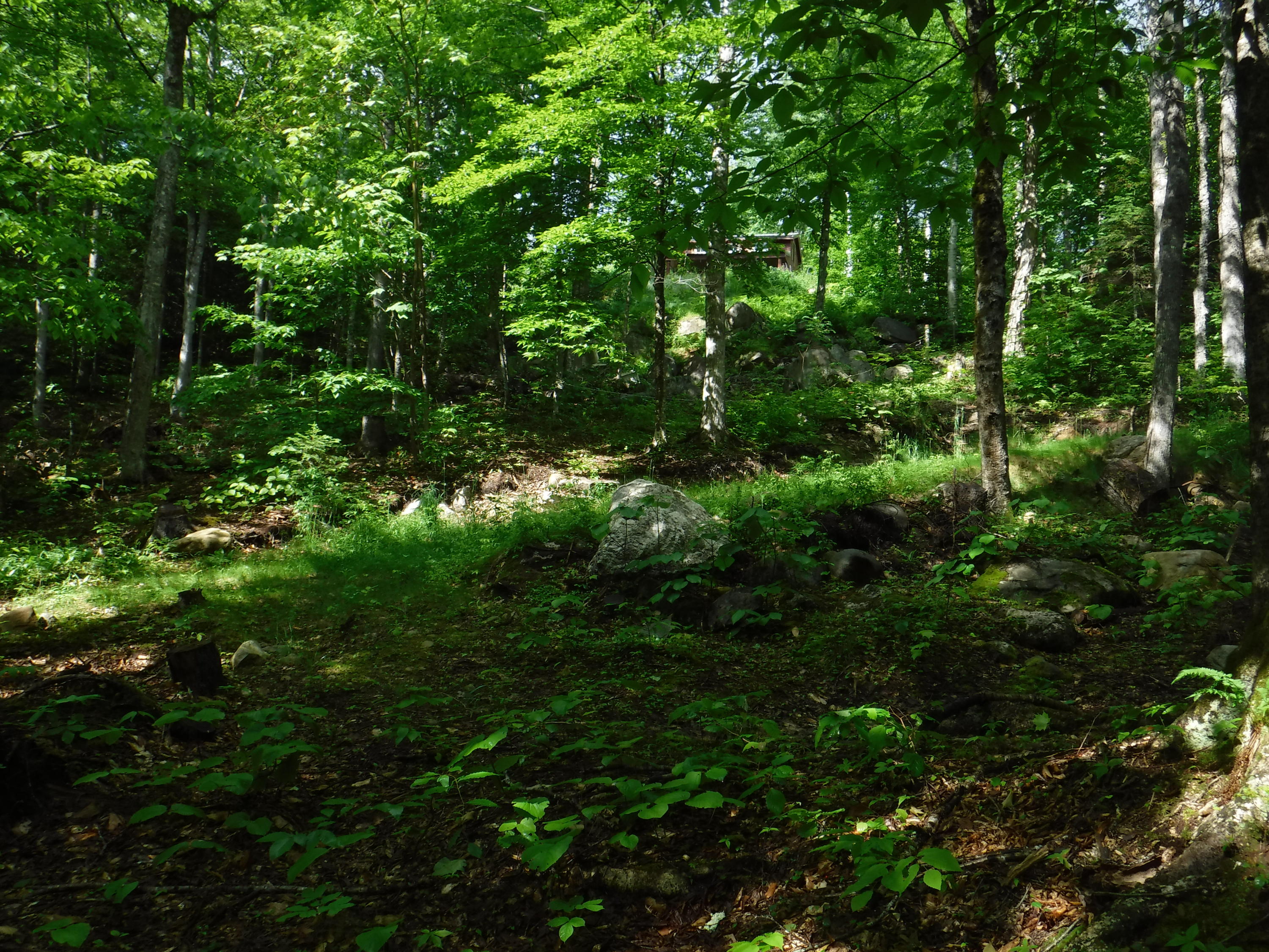 1252 South Arm Road Andover, ME 04216 - Photo 21 of 36 DSCF8322