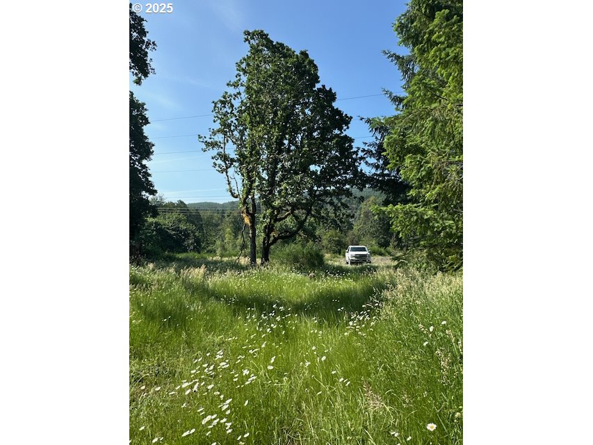 South Cedar Mill Road Lyons, OR 97358 - Photo 11 of 30 a view of a garden