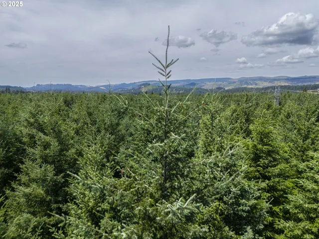 a view of a city with lots of bushes