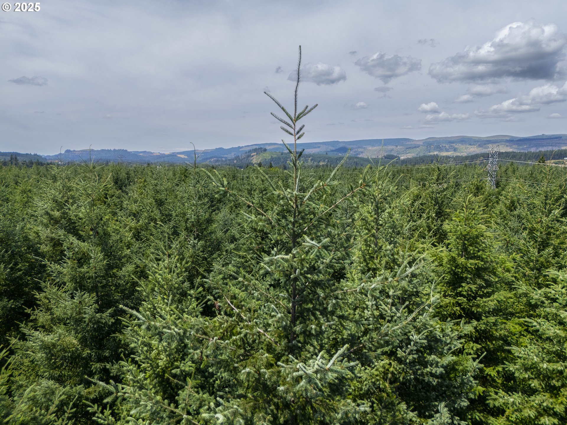 South Cedar Mill Road Lyons, OR 97358 - Photo 12 of 30 a view of a backyard