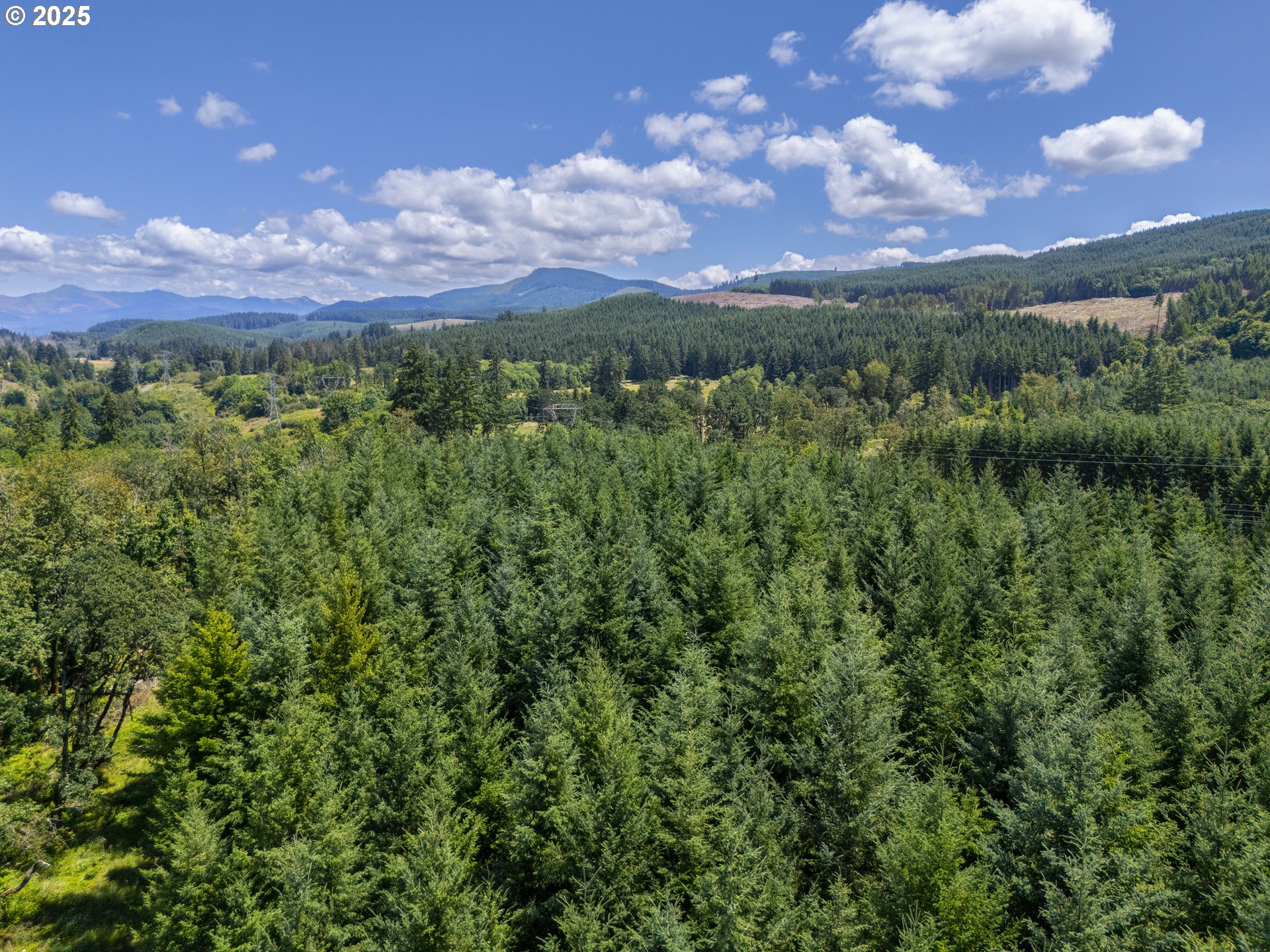 South Cedar Mill Road Lyons, OR 97358 - Photo 13 of 30 a view of a city with lots of bushes