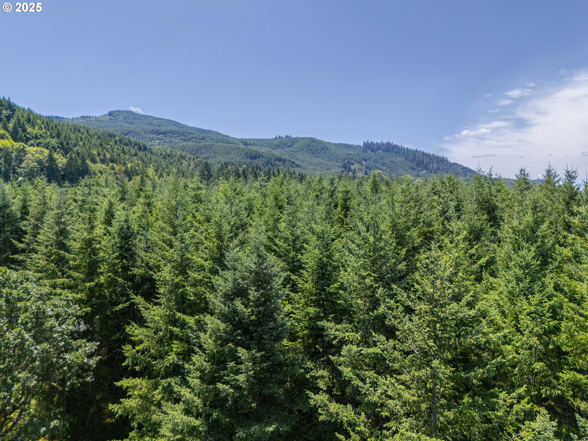 South Cedar Mill Road Lyons, OR 97358 - Photo 14 of 30 a view of a city with lush green forest
