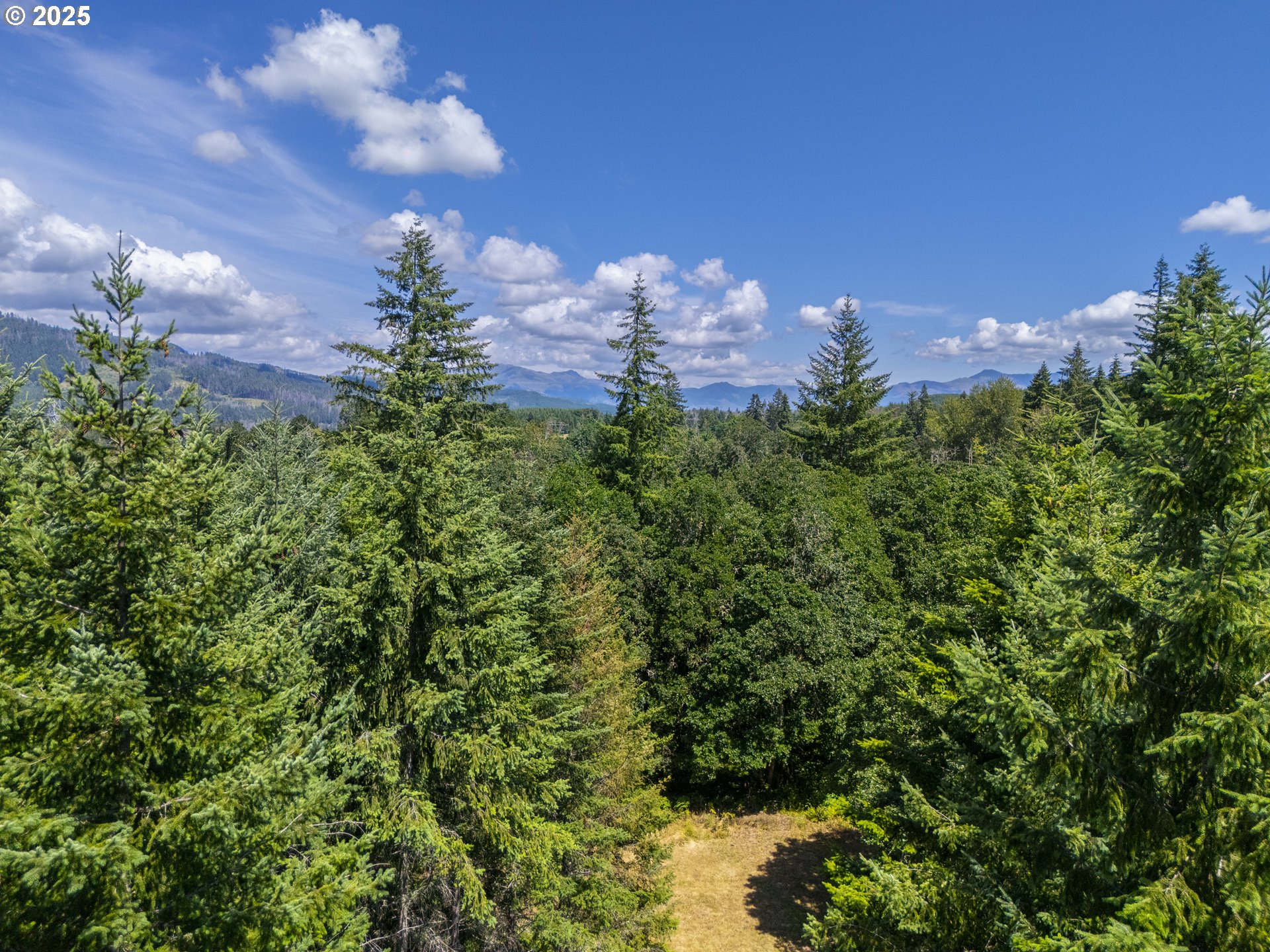 South Cedar Mill Road Lyons, OR 97358 - Photo 15 of 30 a view of a flower in a garden