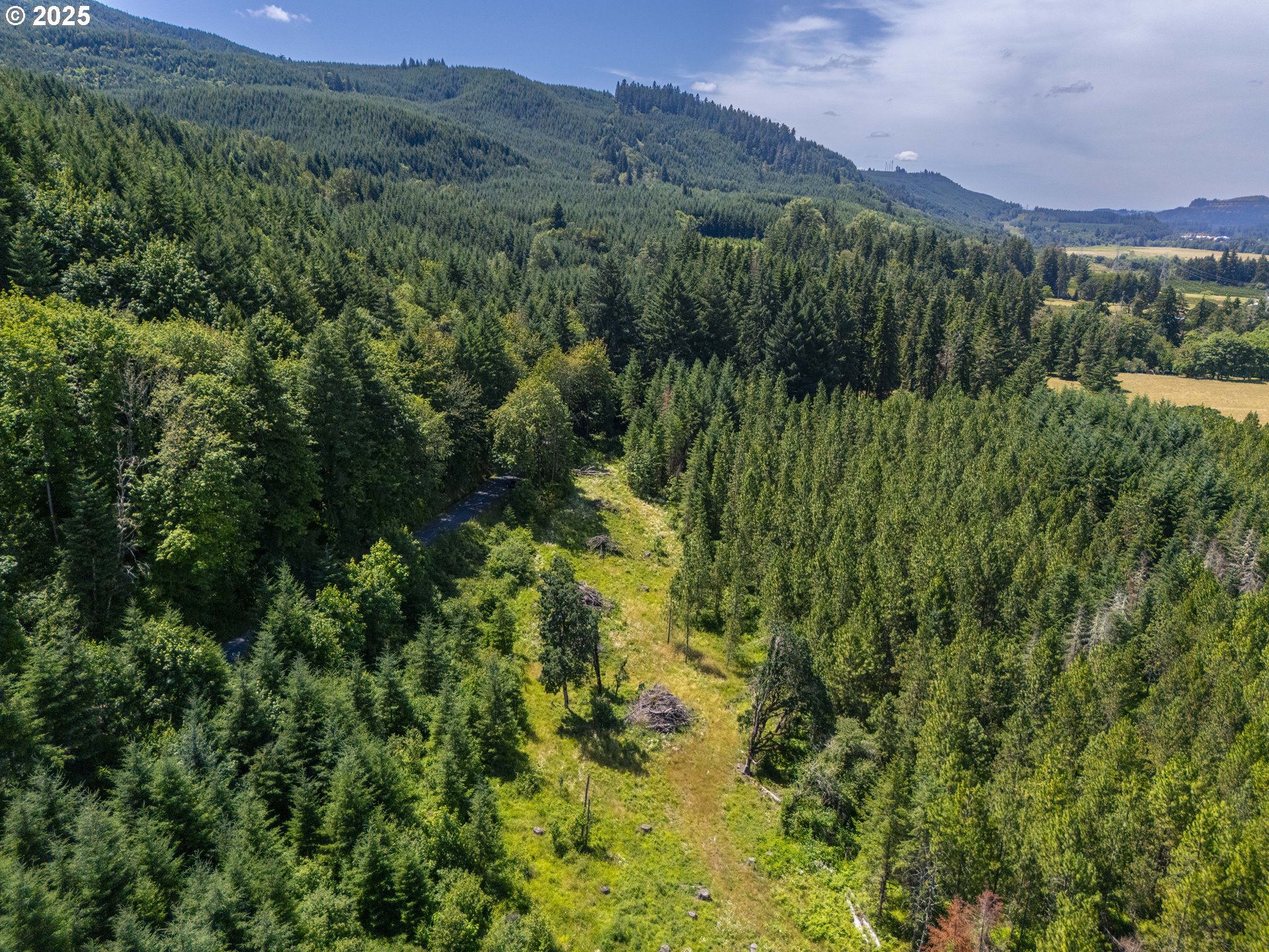 South Cedar Mill Road Lyons, OR 97358 - Photo 17 of 30 a view of a lush green forest with trees in the background