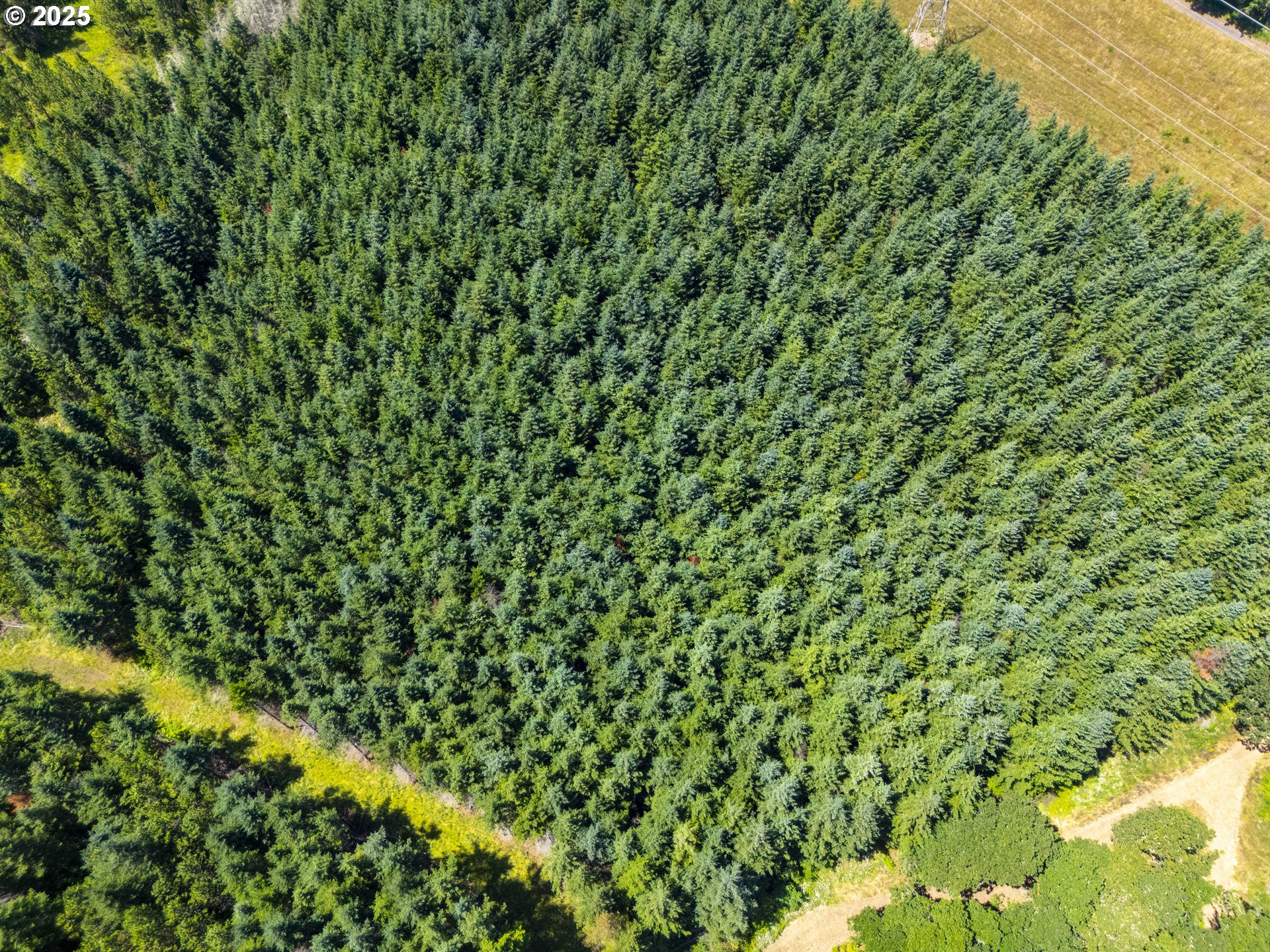 South Cedar Mill Road Lyons, OR 97358 - Photo 18 of 30 a view of a yard