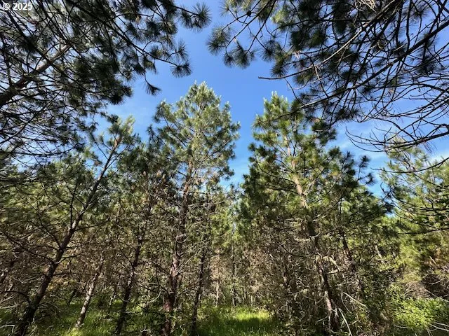 a view of a city and mountains ocean view
