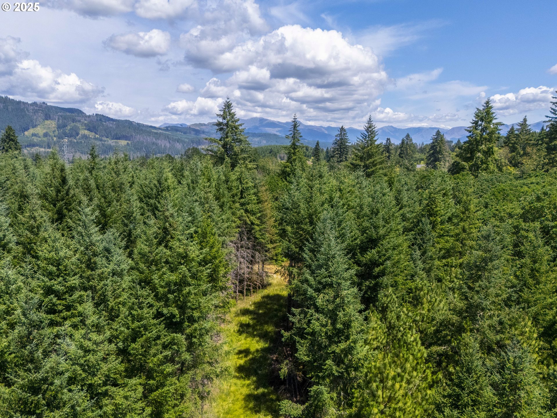 South Cedar Mill Road Lyons, OR 97358 - Photo 2 of 30 a view of a large yard with a large tree and a yard