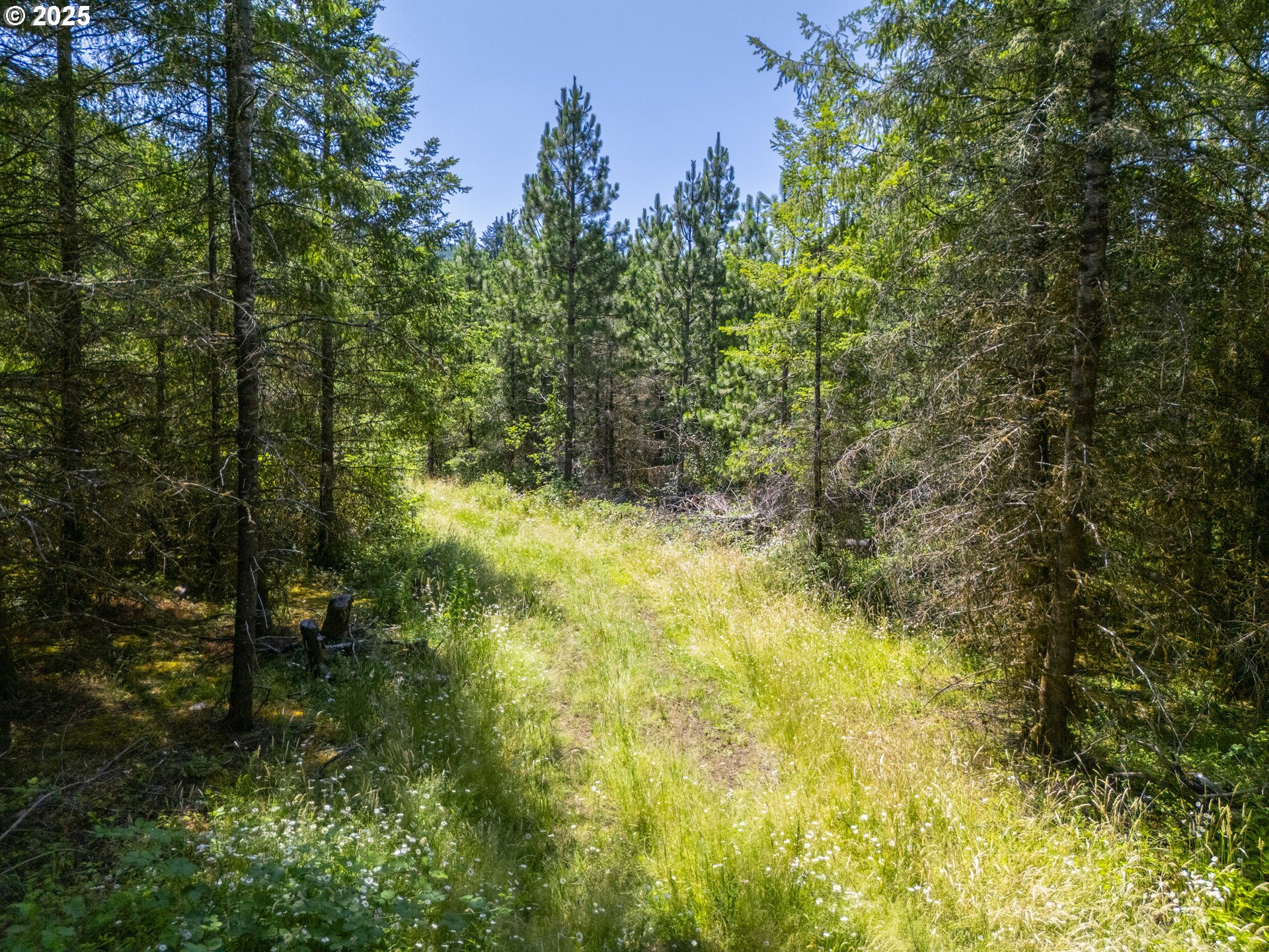 South Cedar Mill Road Lyons, OR 97358 - Photo 21 of 30 a view of yard with green space